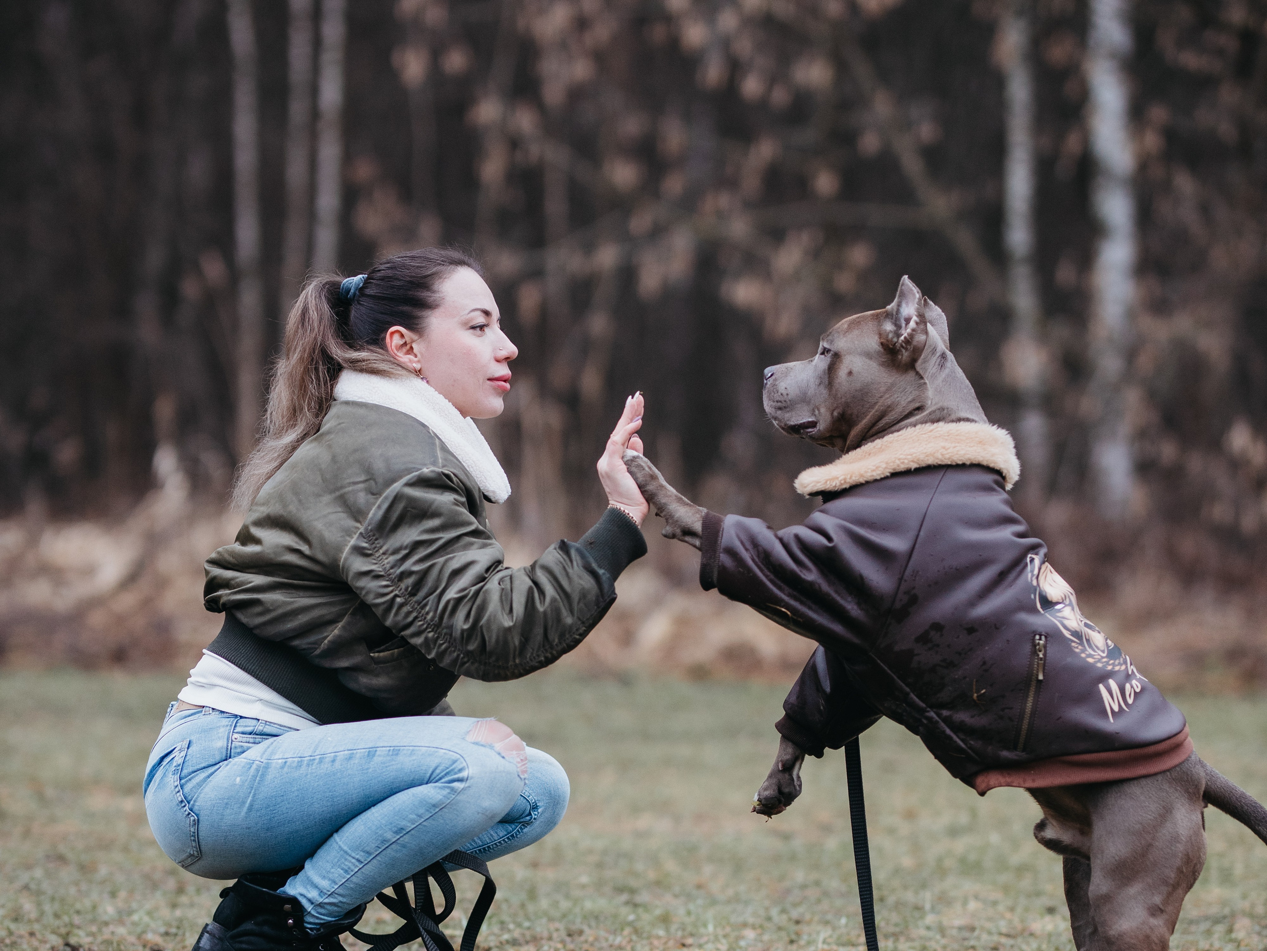 Зевс и Мария. Фотограф-анималист в Москве Кириллова Татьяна