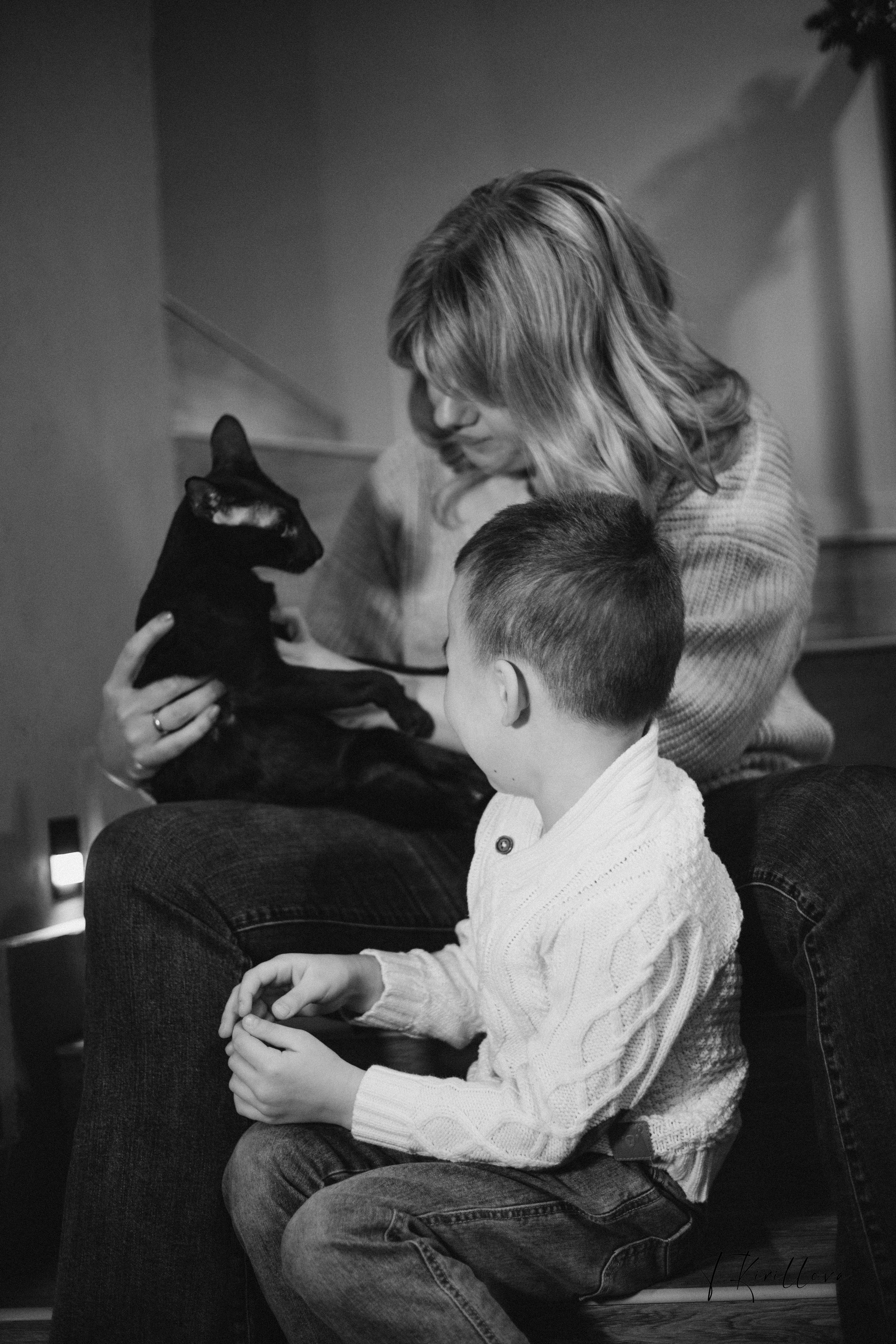 Новогоднее утро. Фотограф-анималист в Москве Кириллова Татьяна