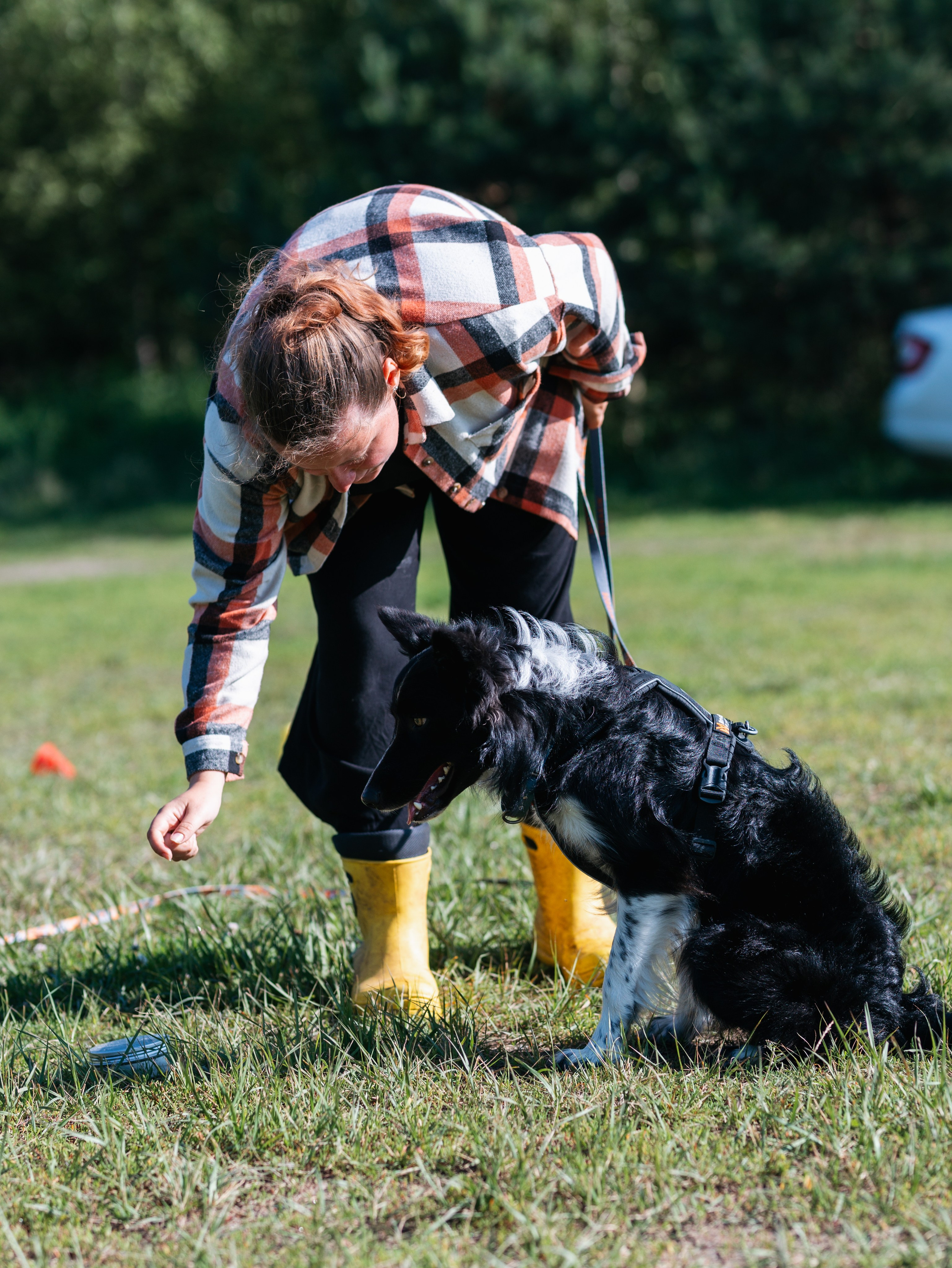 Лагерь ноузворк. Фотограф-анималист в Москве Кириллова Татьяна