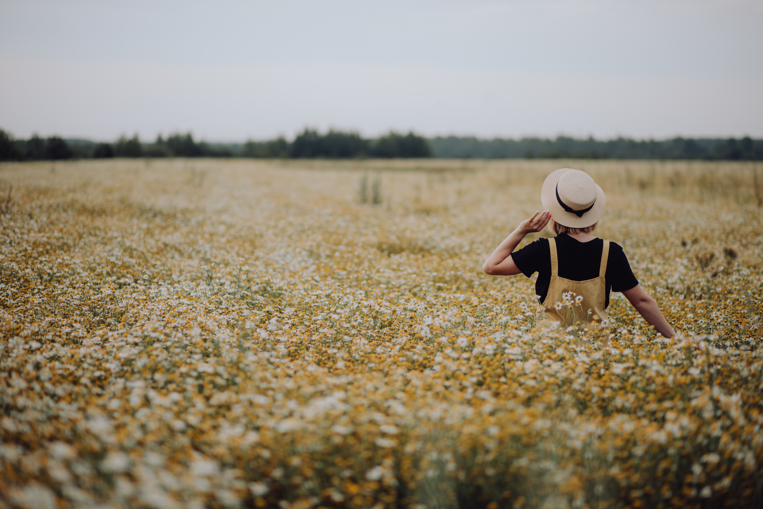 Фотосессия в Ромашковом поле. Семейный и детский фотограф в Краснодаре Катя Гор