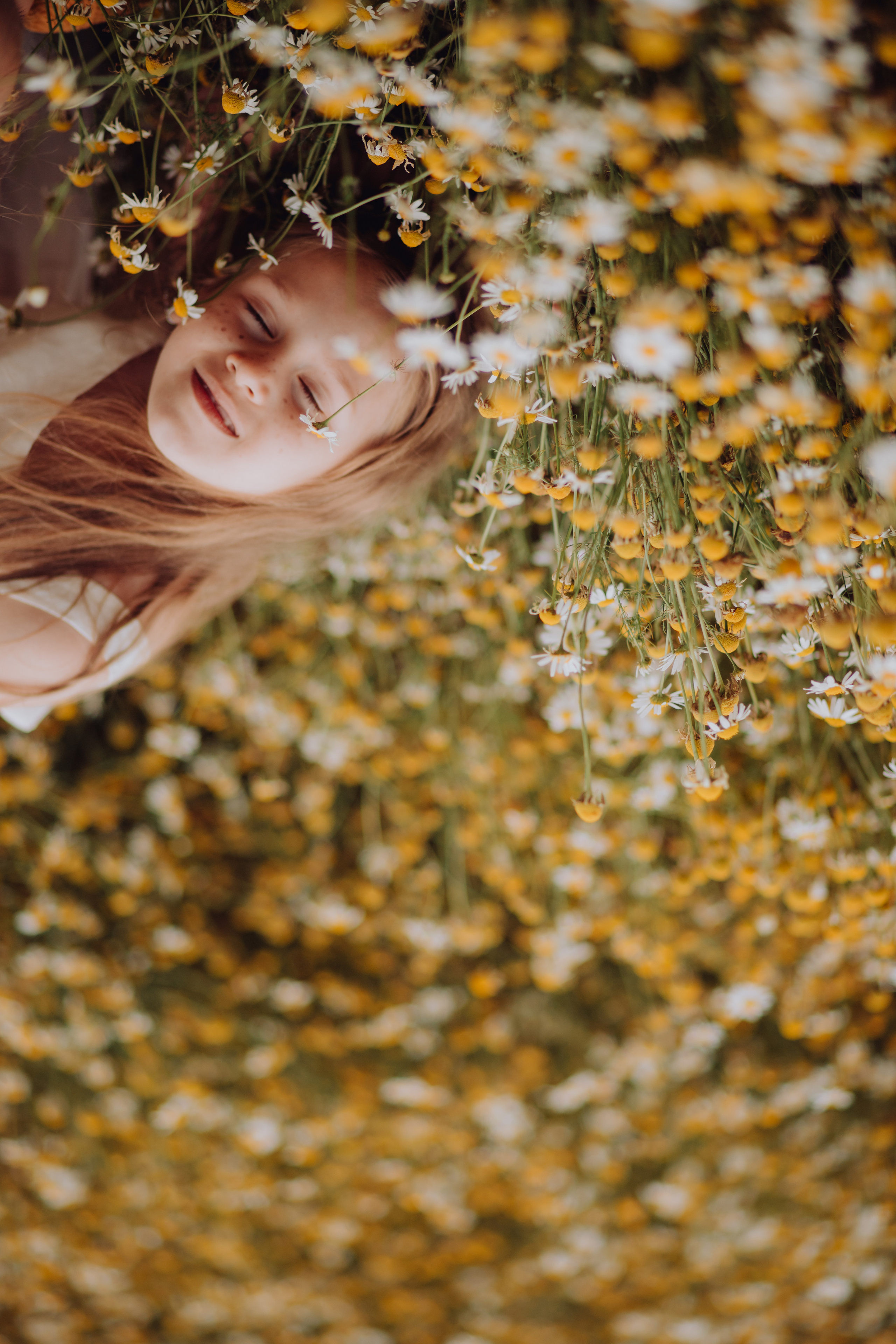 Фотосессия в Ромашковом поле. Семейный и детский фотограф в Краснодаре Катя Гор