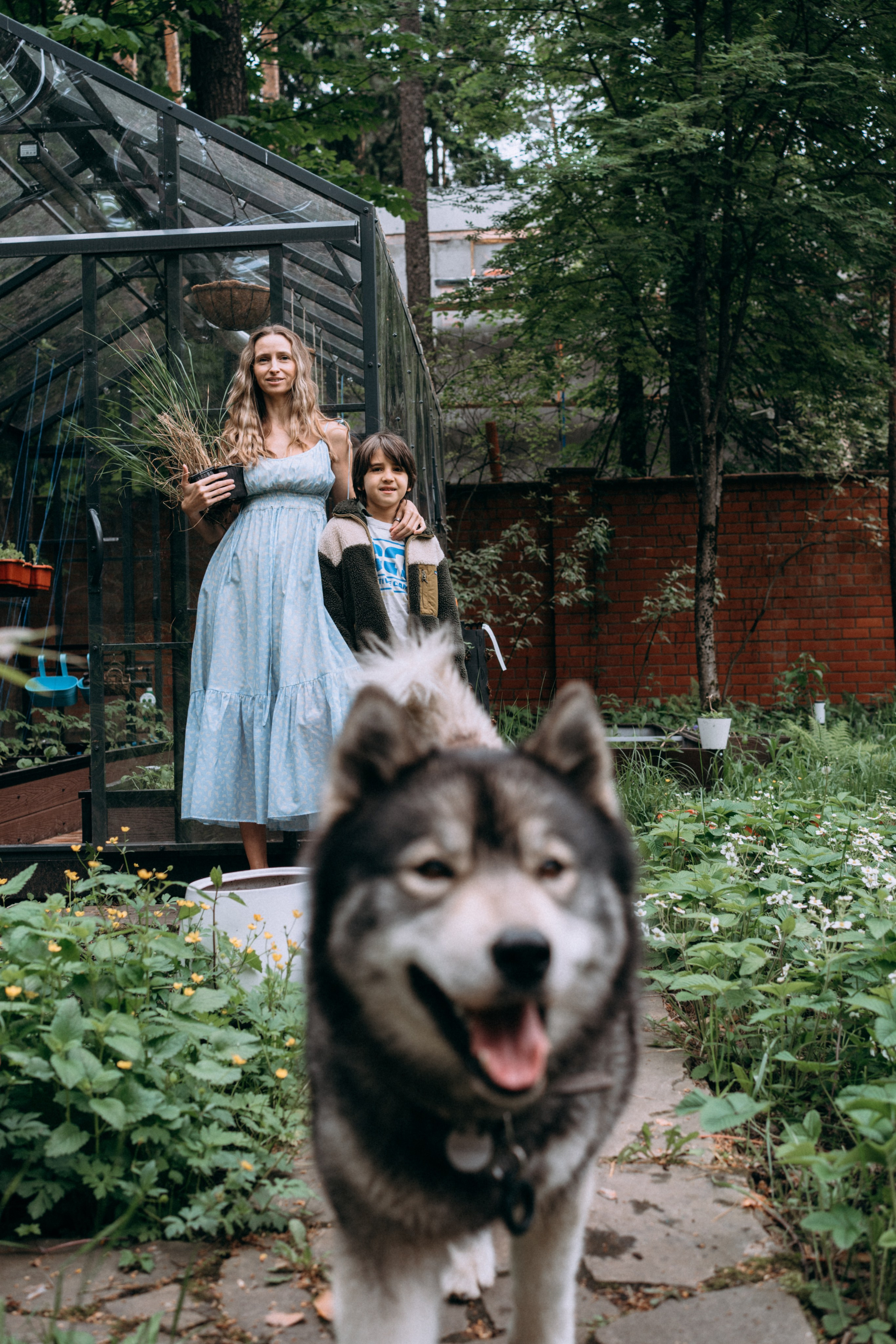 Дети. Курицы. Теплица. СТИЛЬ. Семейный и детский фотограф и видеограф в Москве, Серпухове и Тарусе Валерия Сорокина