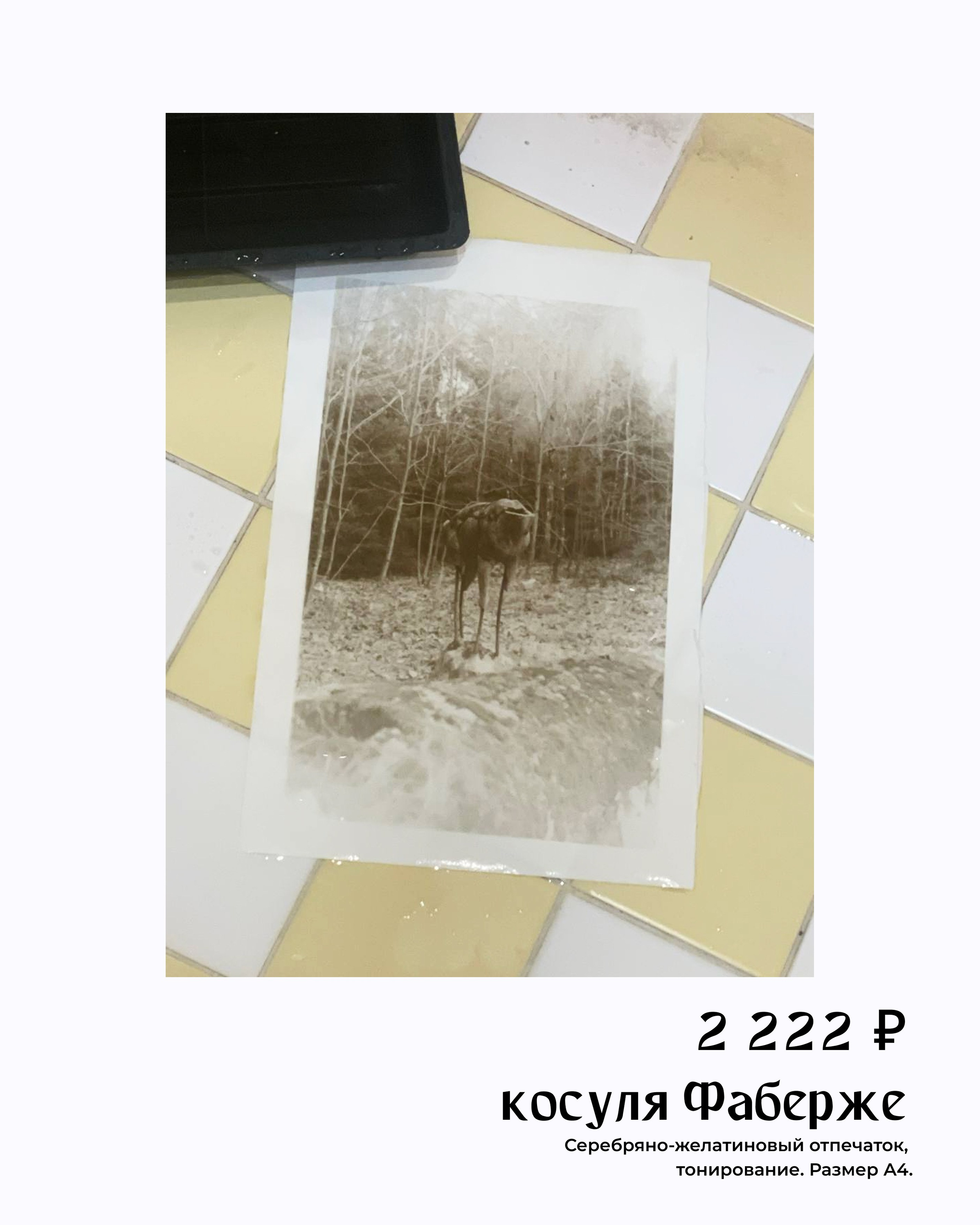 Авторская коллекционная фотография. Оптическая печать. Косуля на заброшенном участке дачи Фаберже, Левашово