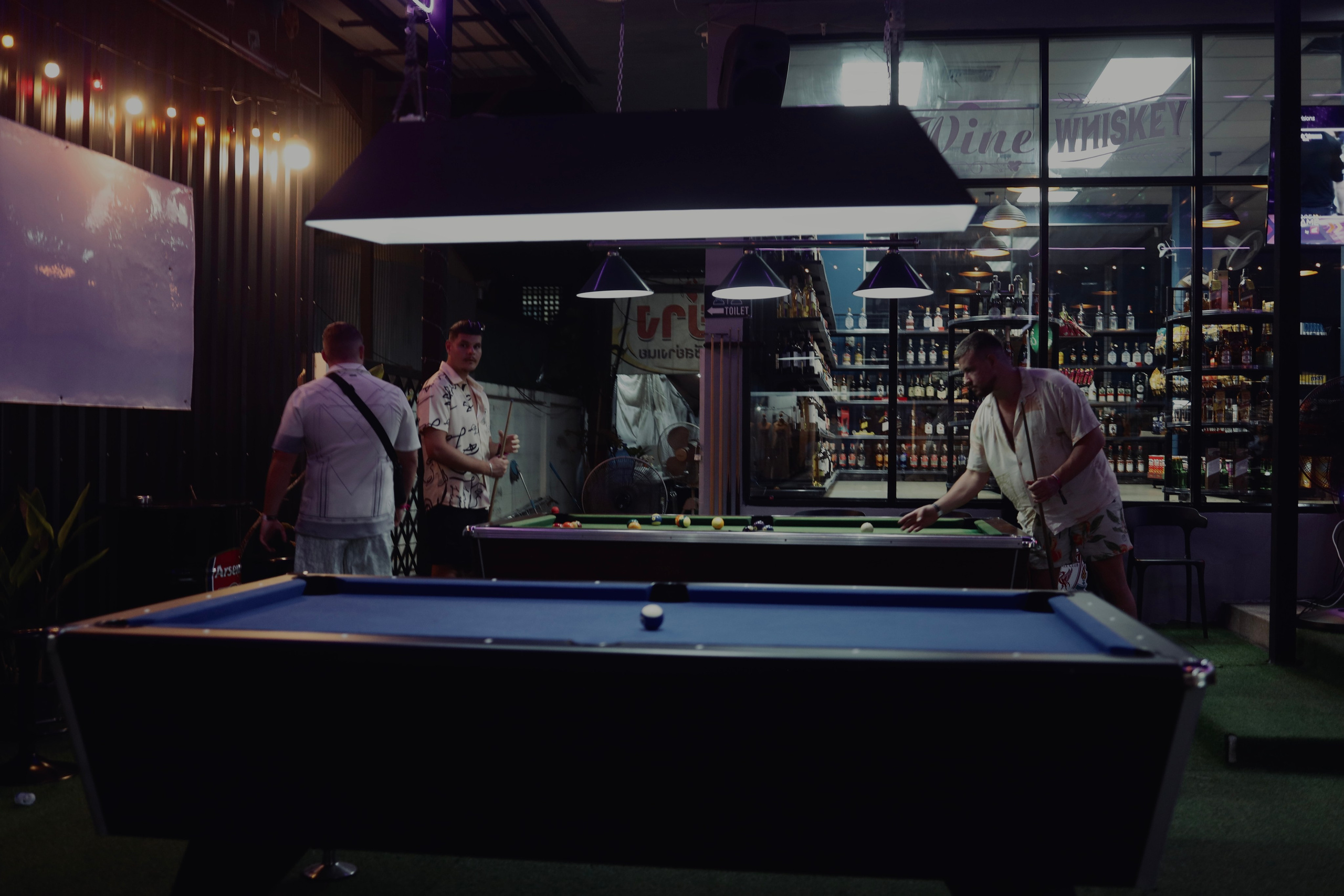 Night inhabitants of Samui Island / Thailand 2024. POLINA MÔMOT