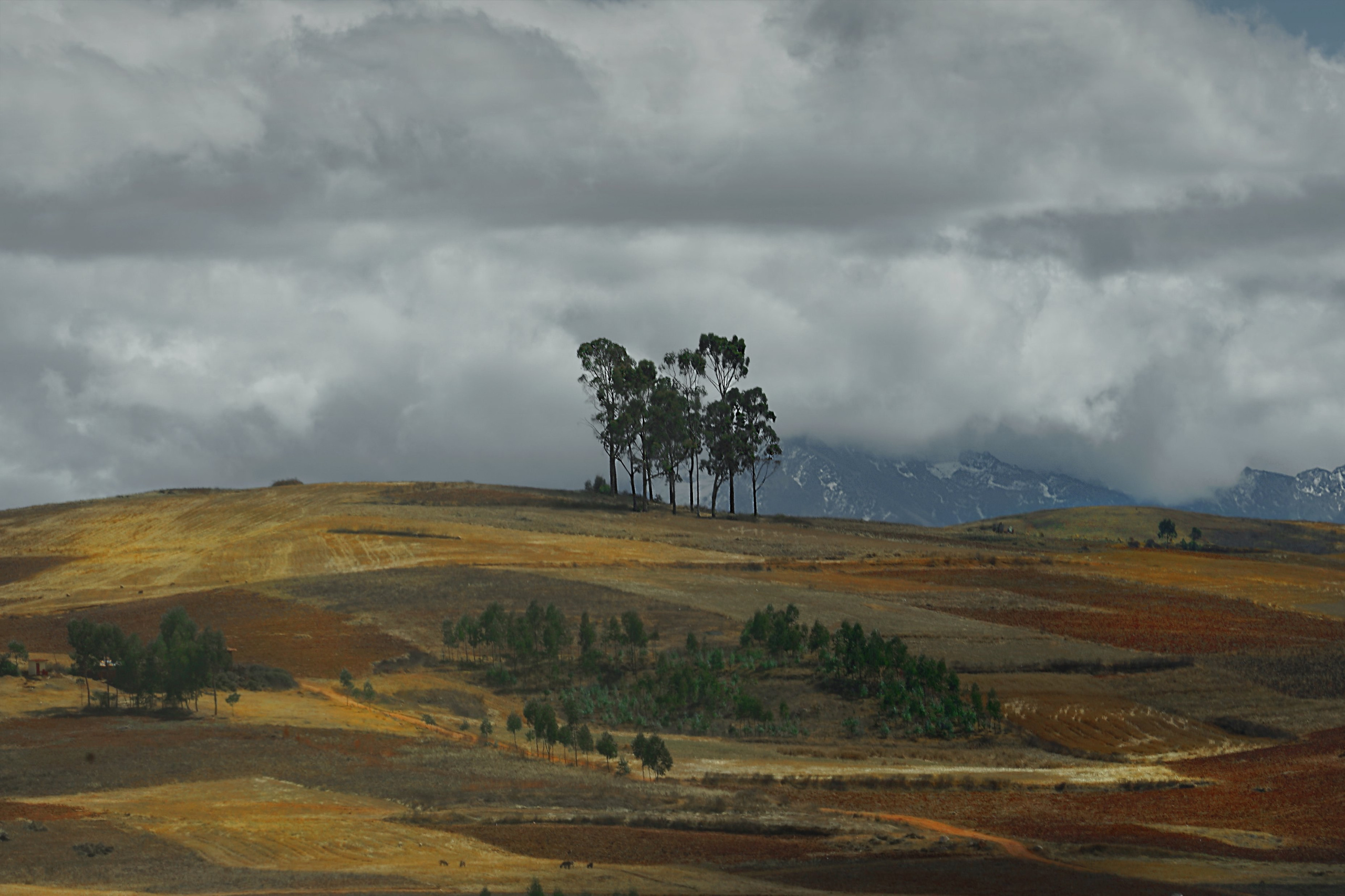 LANDSCAPE ландшафт. Семейный и детский фотограф в Буэнос-Айресе Перевозчикова Анна Fotógrafa de familia y niños en Buenos Aires Perevozchikova Anna