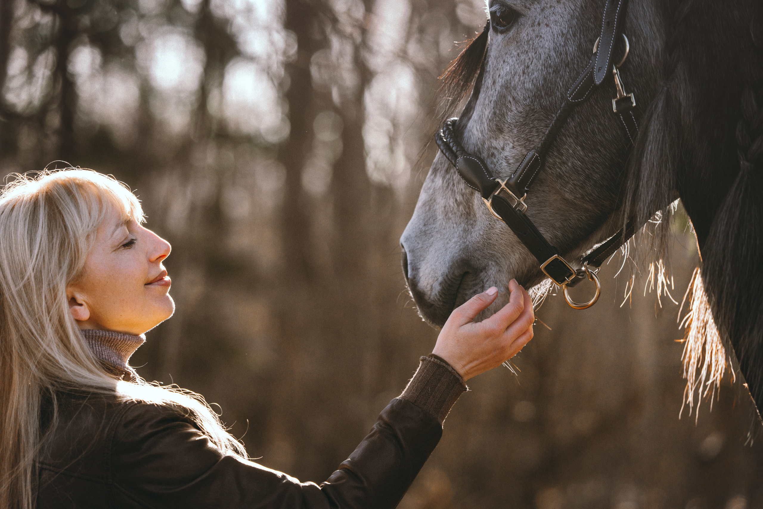 Ирина и Командор. Фотограф анималист Осипчикова Мария