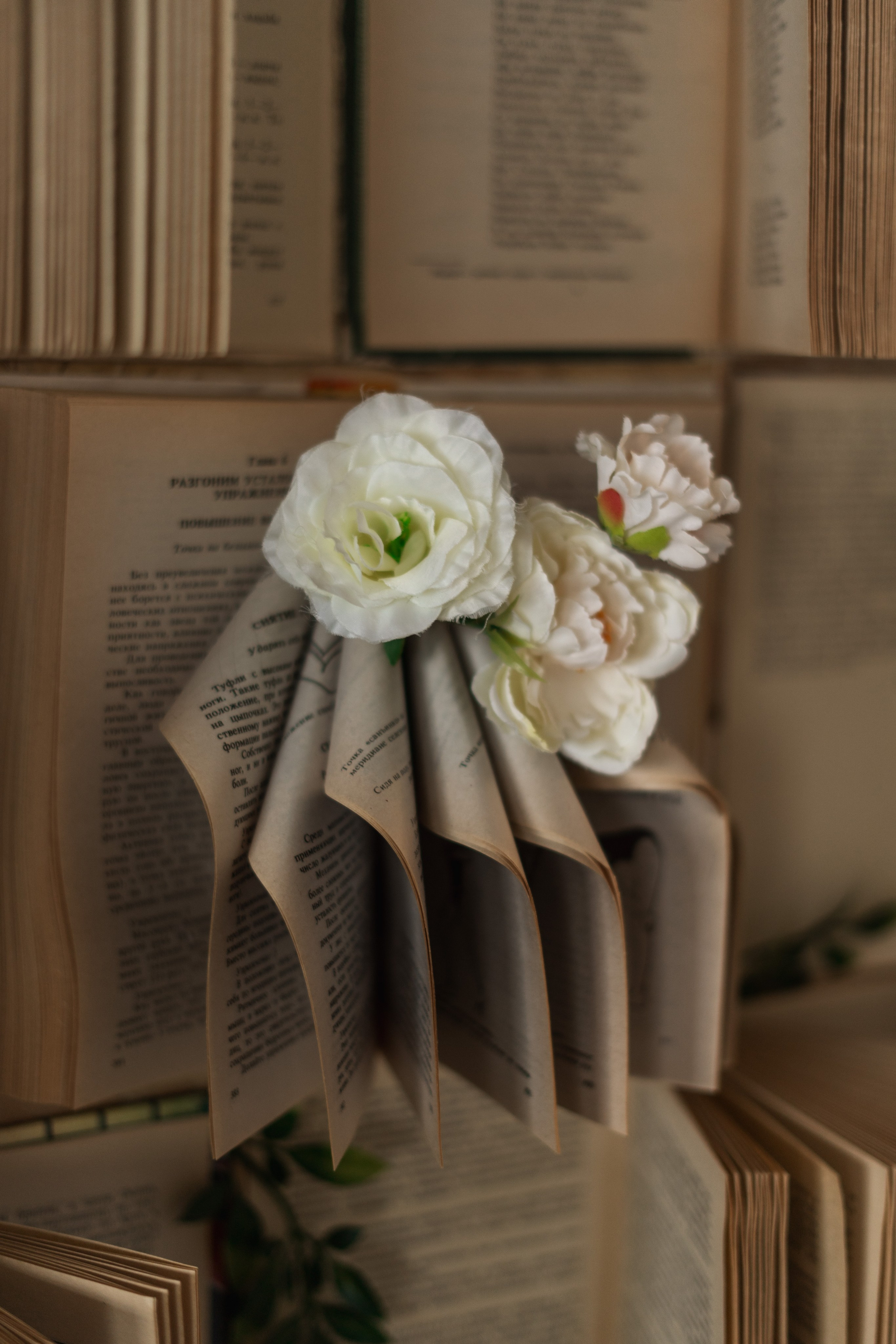 зал Дзен фотостудия «Импульс» Саратов  книжная зона