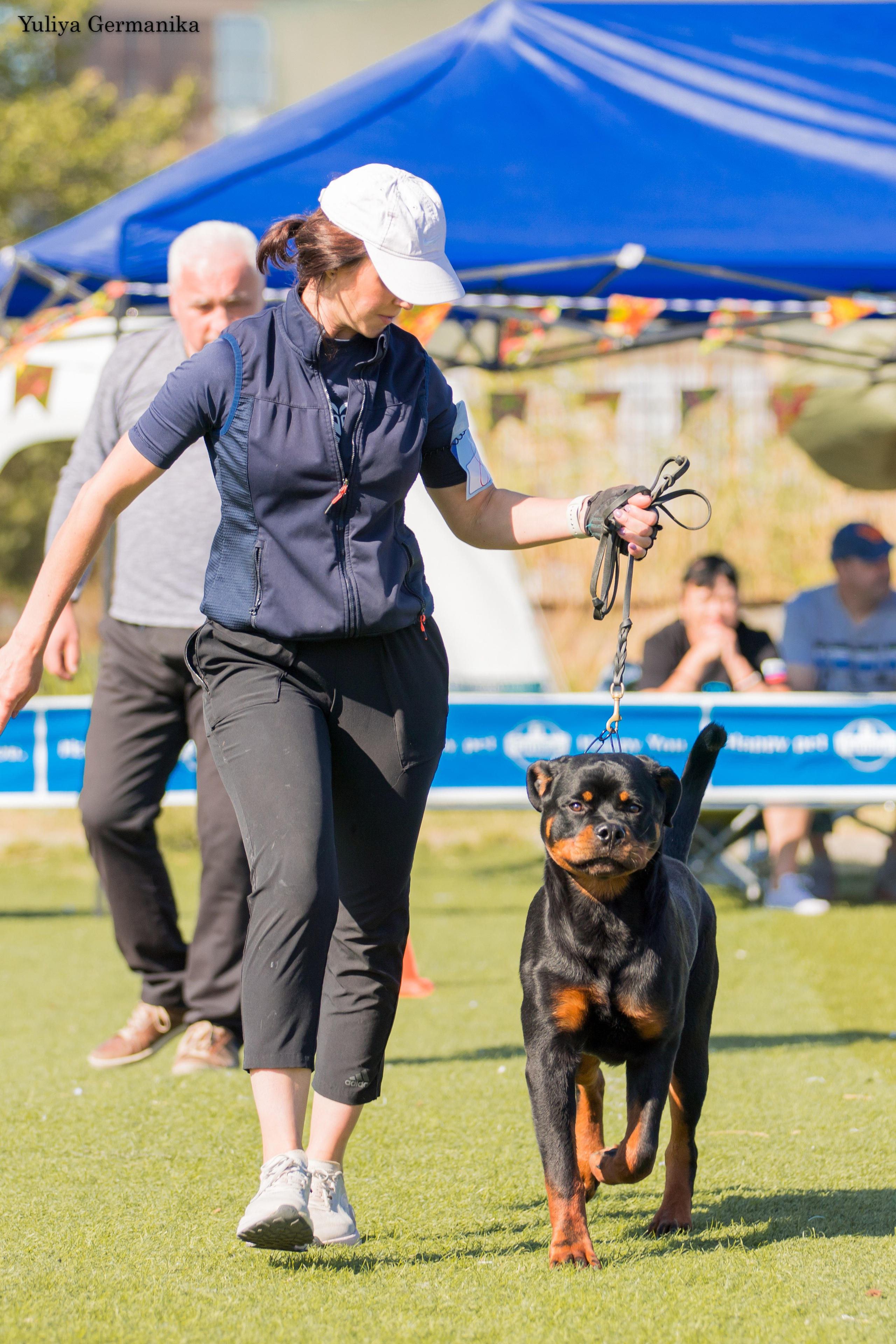 Анапа 16-17.09.2023 моно ротвейлеров. Фотограф-анималист Юлия Германика