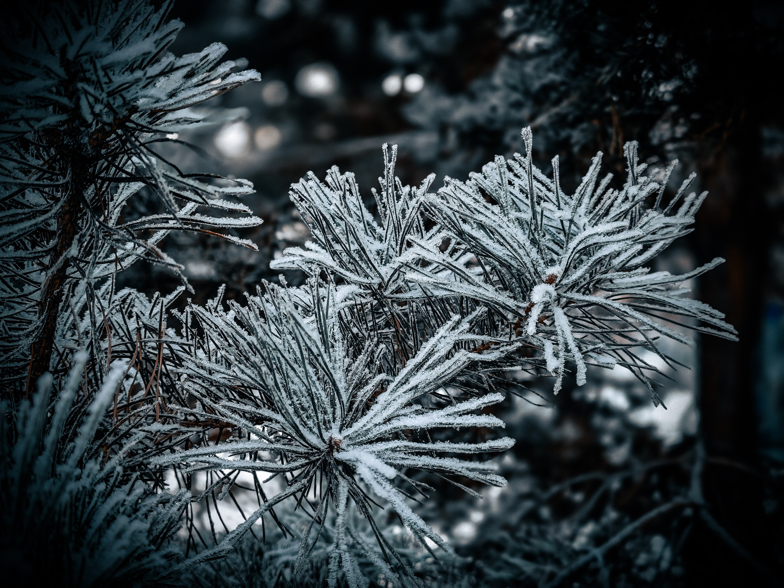 Скоро лето. Игорь Урывский. Фотограф Красноярск