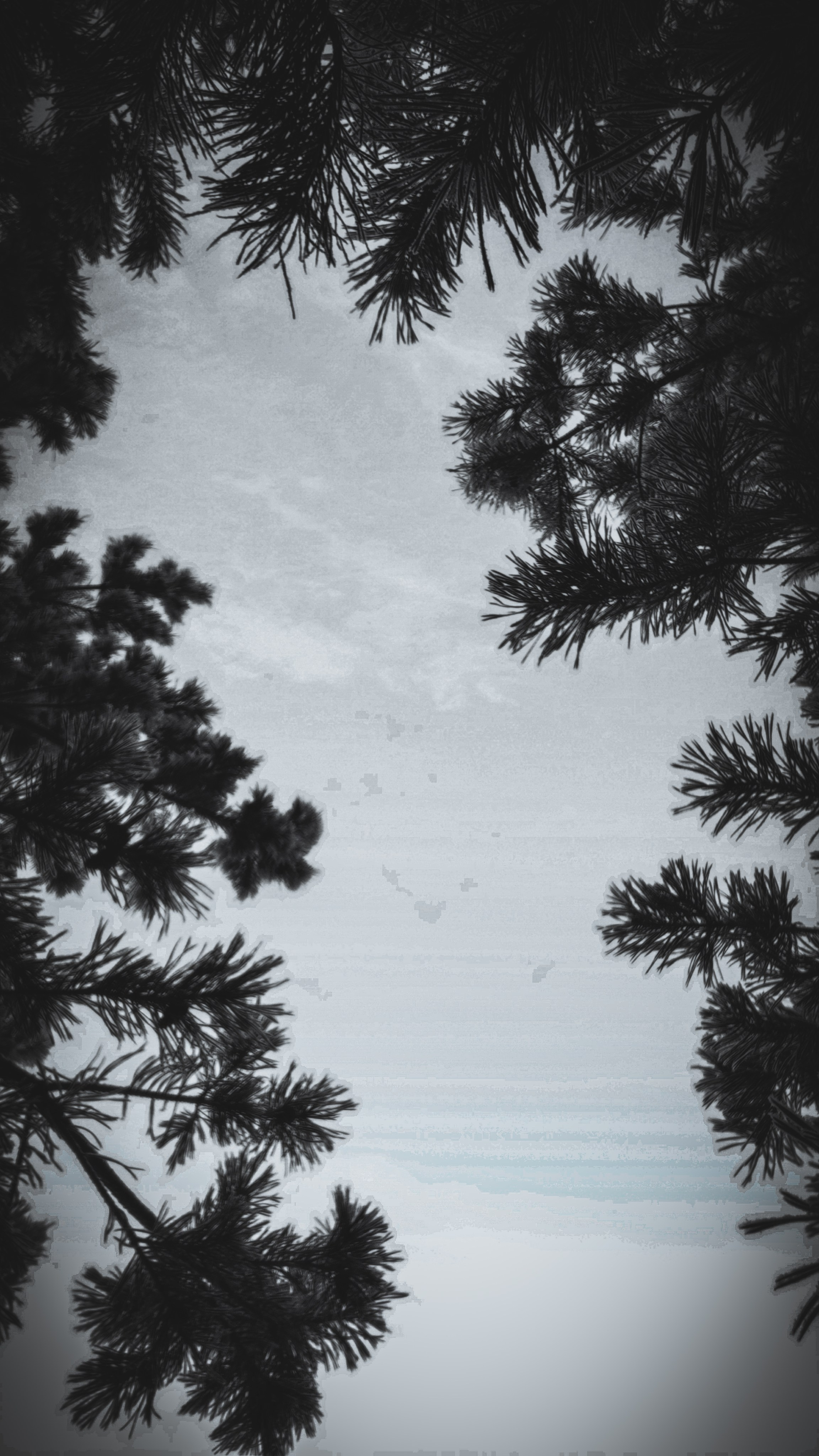 Скоро лето. Игорь Урывский. Фотограф Красноярск