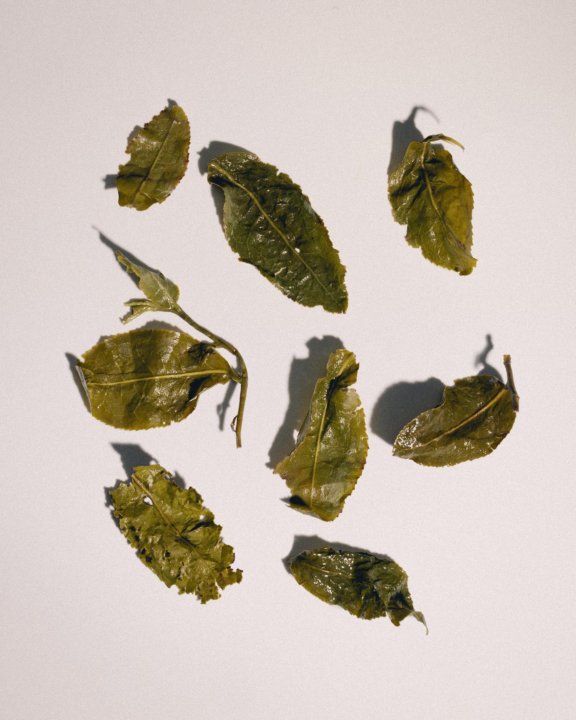 69 — CHA. Ivan Petrov photographer