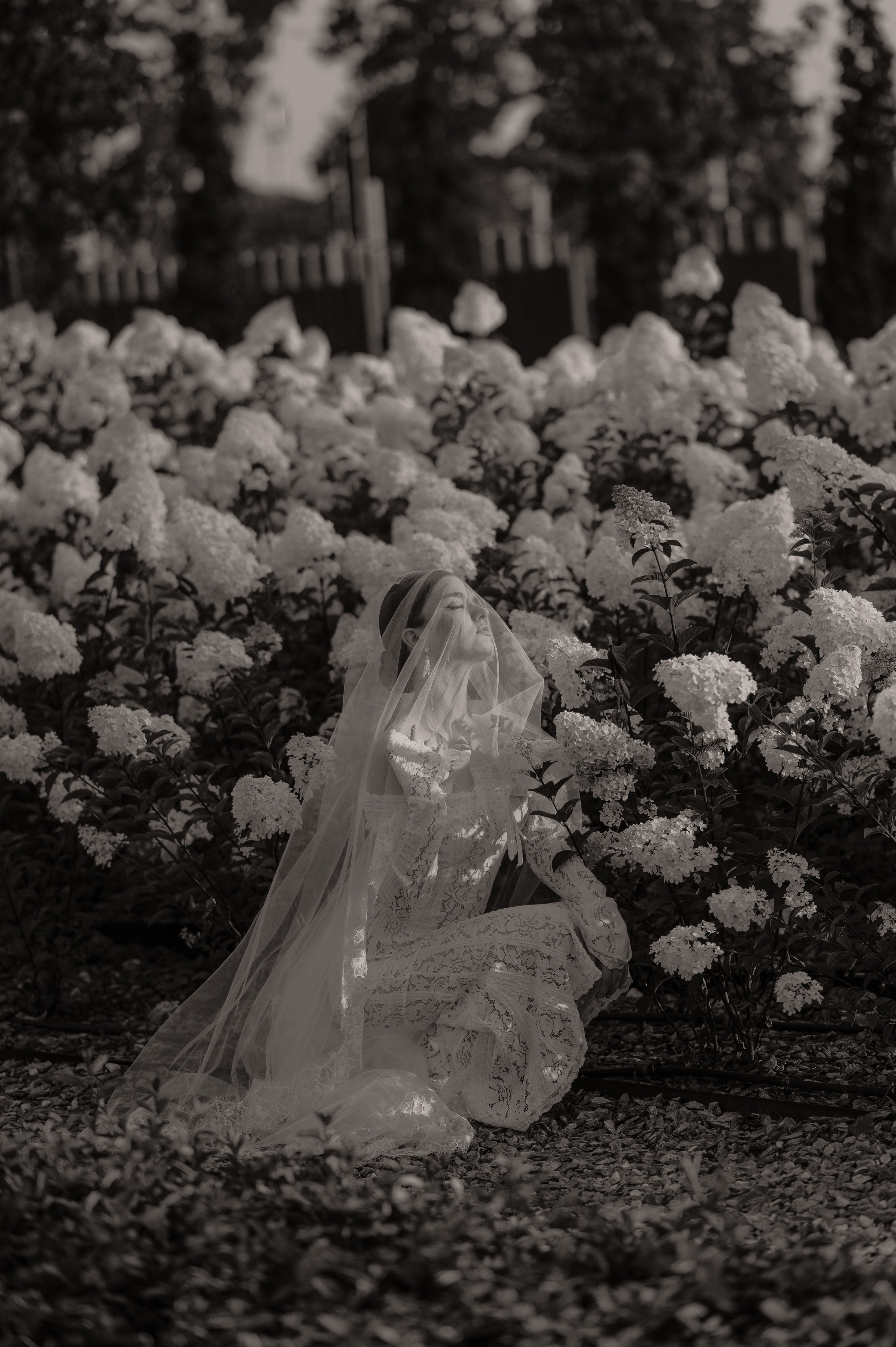 Арина (невеста). Свадебный и семейный фотограф в Краснодаре Алина Мельник