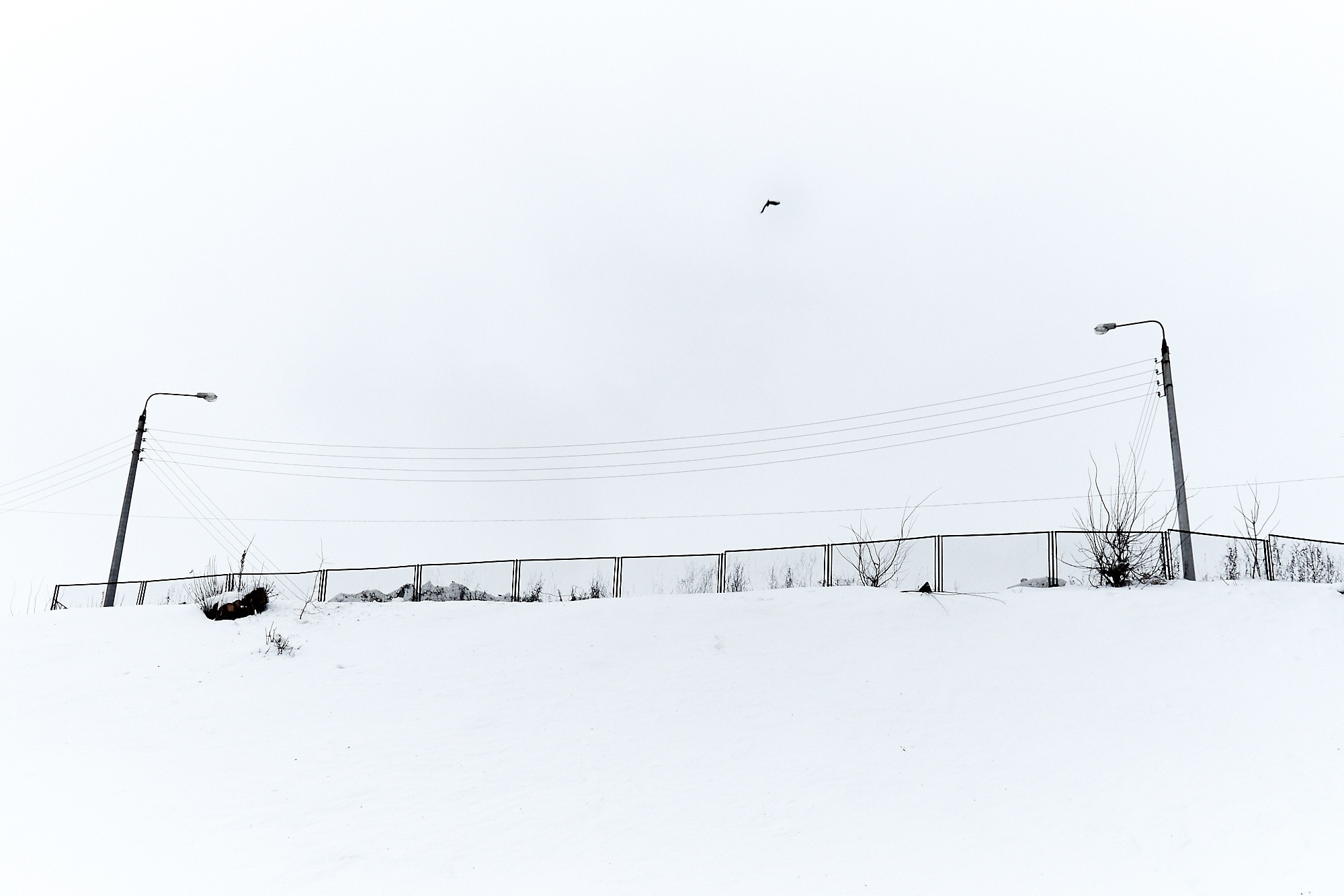 Urban. Евгений Рыжов