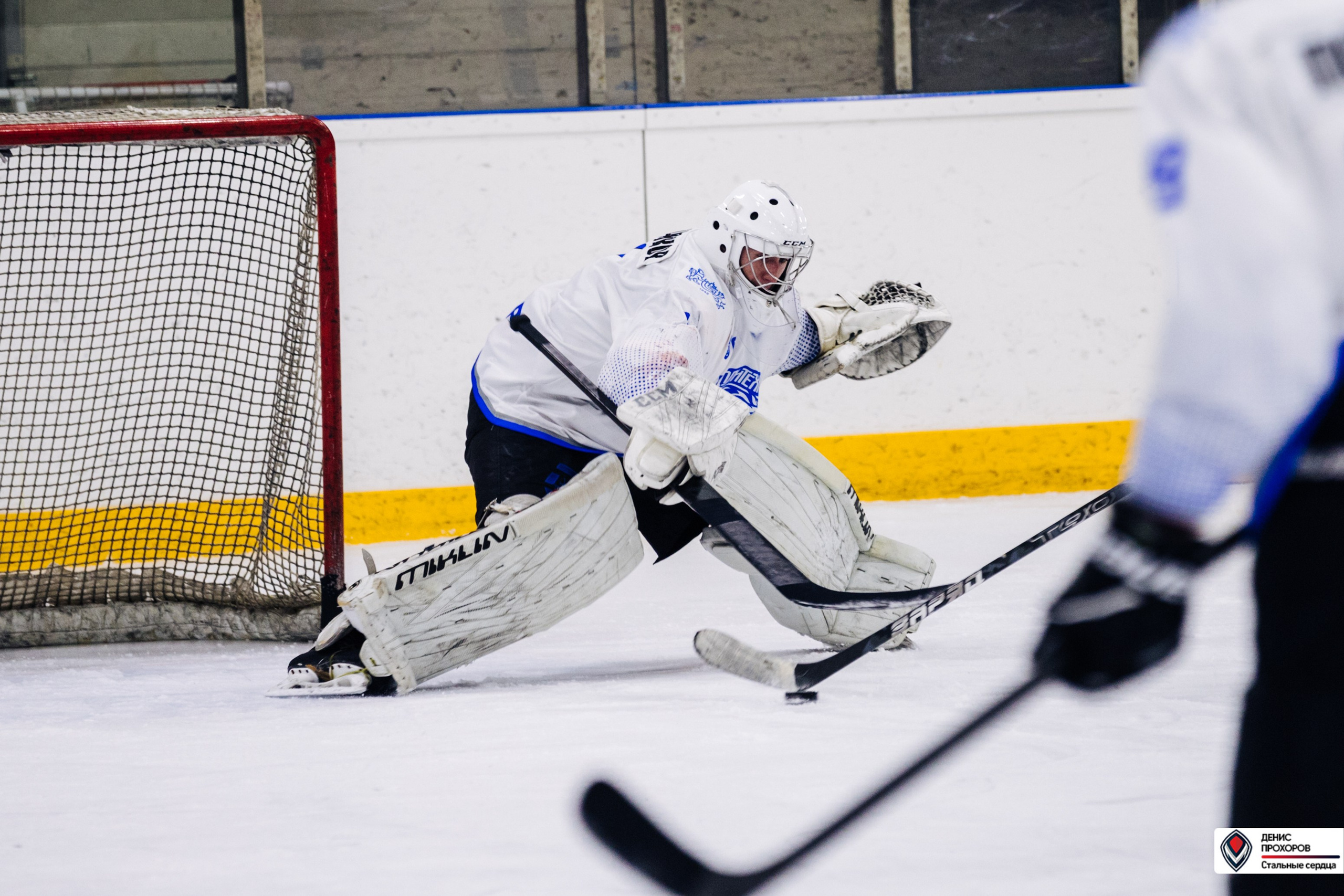 Чемпионат СХЛ // 03.03.24. Денис Прохоров Фотограф в г. Магнитогорск
