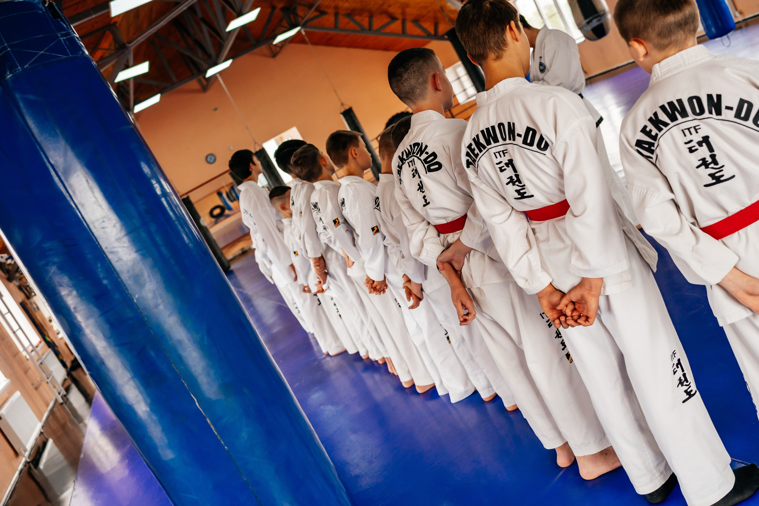 Съемка спортивных мероприятий. Taekwondo/2023. Семейный фотограф в Москве Ирина Жур