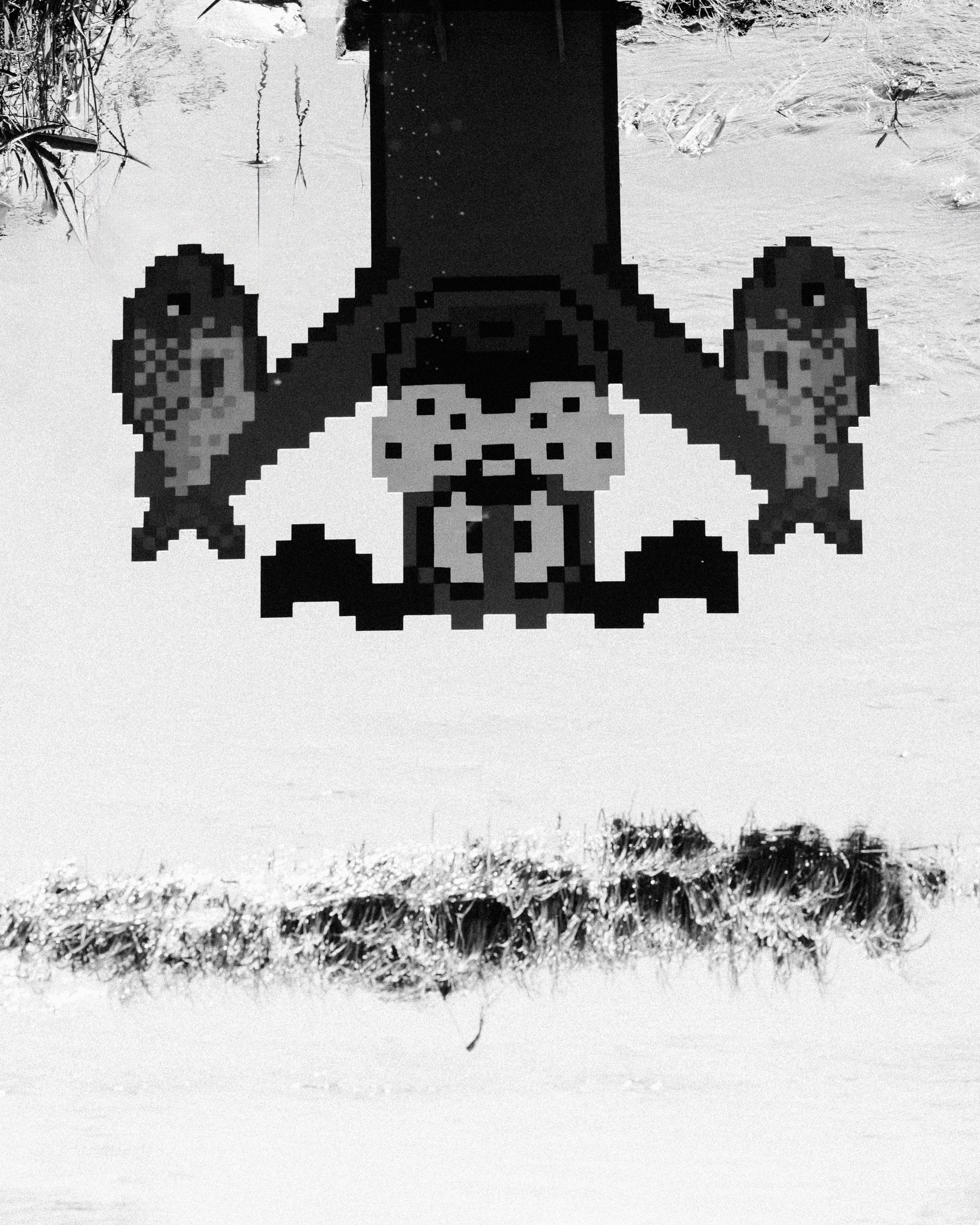 Открытие сезона созерцаний. Репортажный и портретный фотограф во Владимире Сергей Кравцов