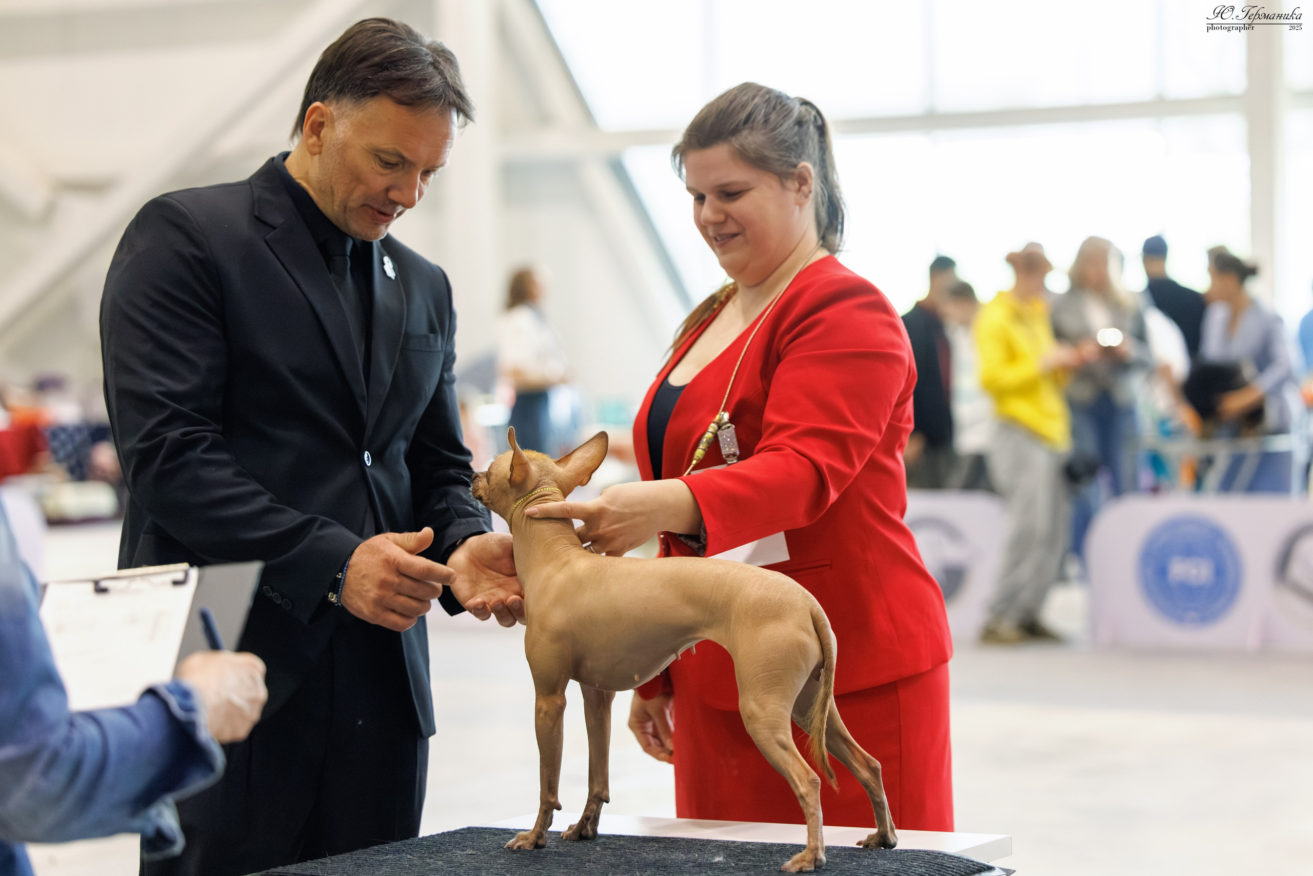 Астана 2хCACIB 3-4.05.2025. Фотограф-анималист Юлия Германика
