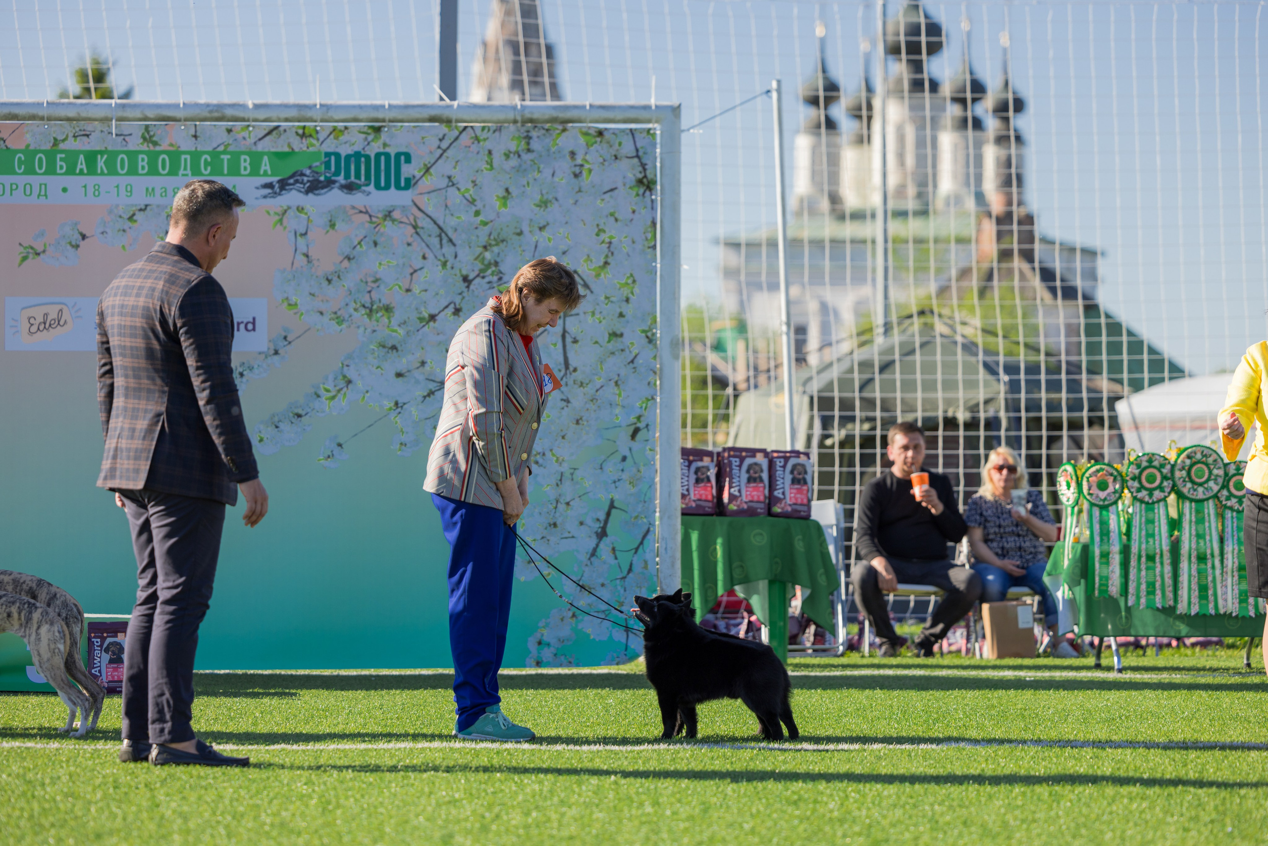 Суздаль 18-19.05.2024. Фотограф-анималист Юлия Германика