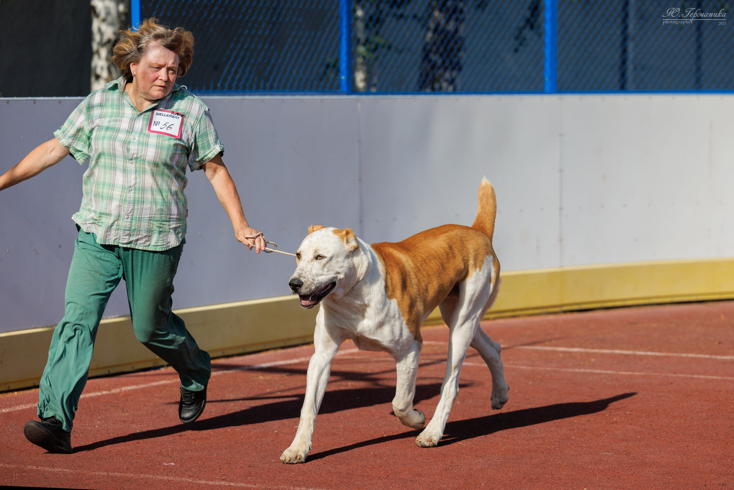 Коломна 30.08.2025. Фотограф-анималист Юлия Германика