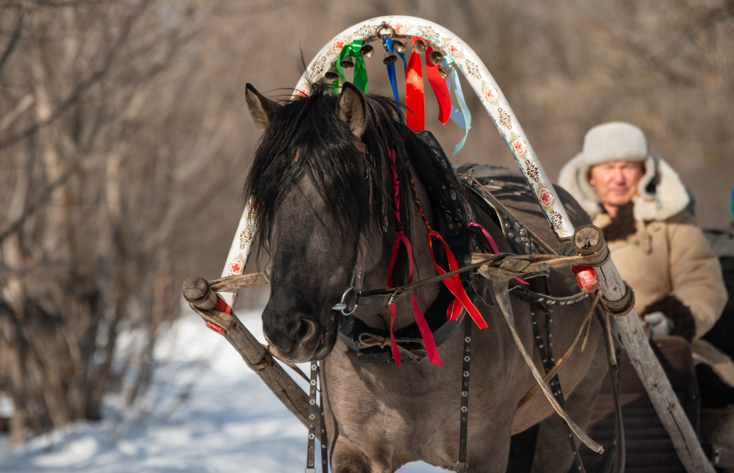 Масленичные гулянья в Боковке. Конный фотограф в Саратове Юлия Иванова