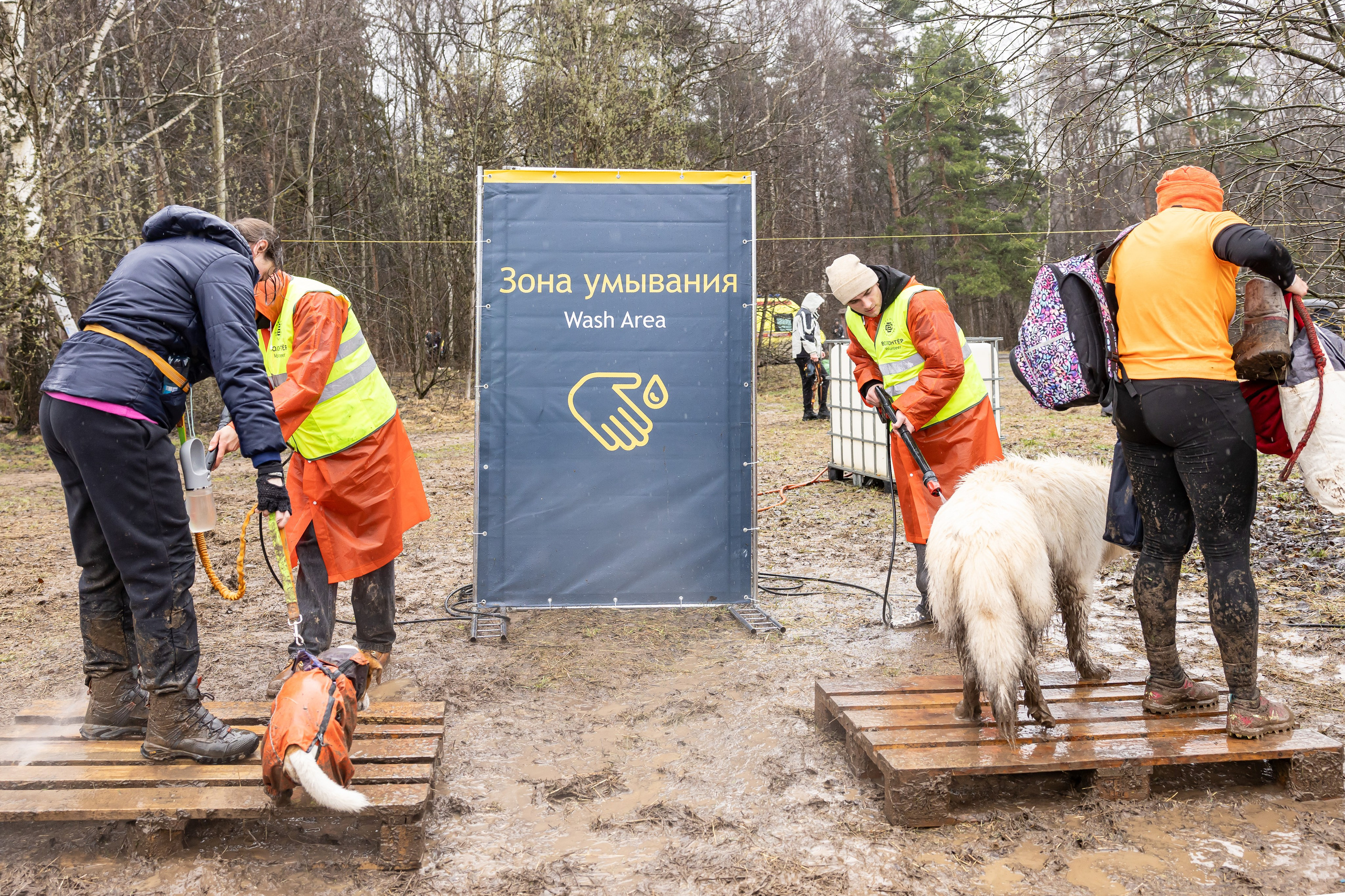 Кросс «Быстрый пёс» в Битцевском лесу. Фотограф Владимир Охрименко
