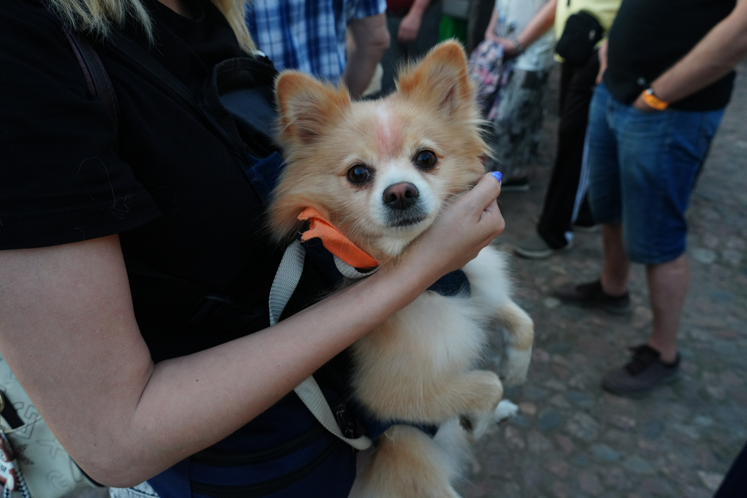 БАЛТИК РАЛЛИ Выборг 2025. Портретный фотограф в Санкт-Петербурге Дмитриева Наталия