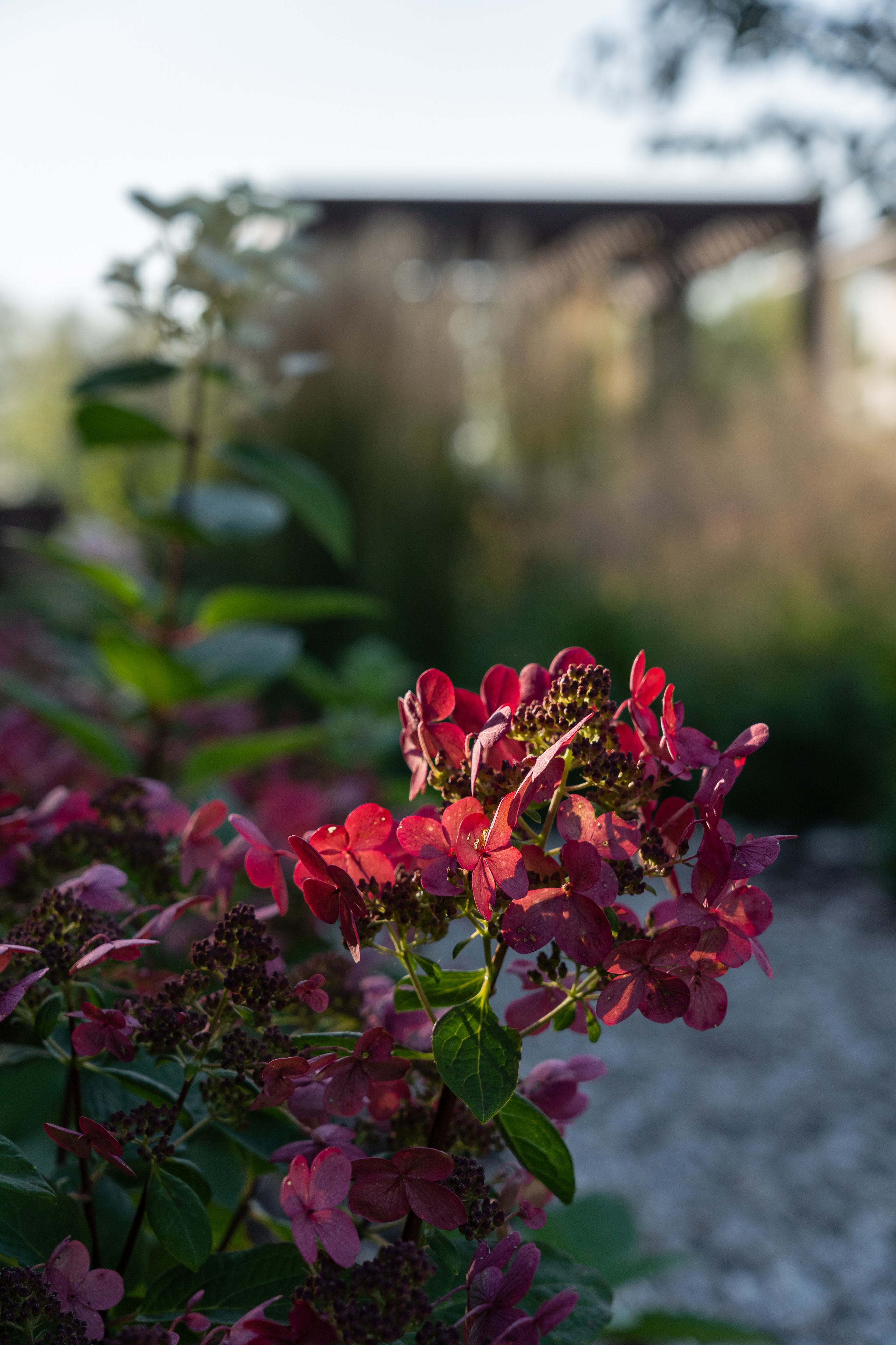 Framed landscape. Артамонов Александр | Архитектурный и ландшафтный фотограф