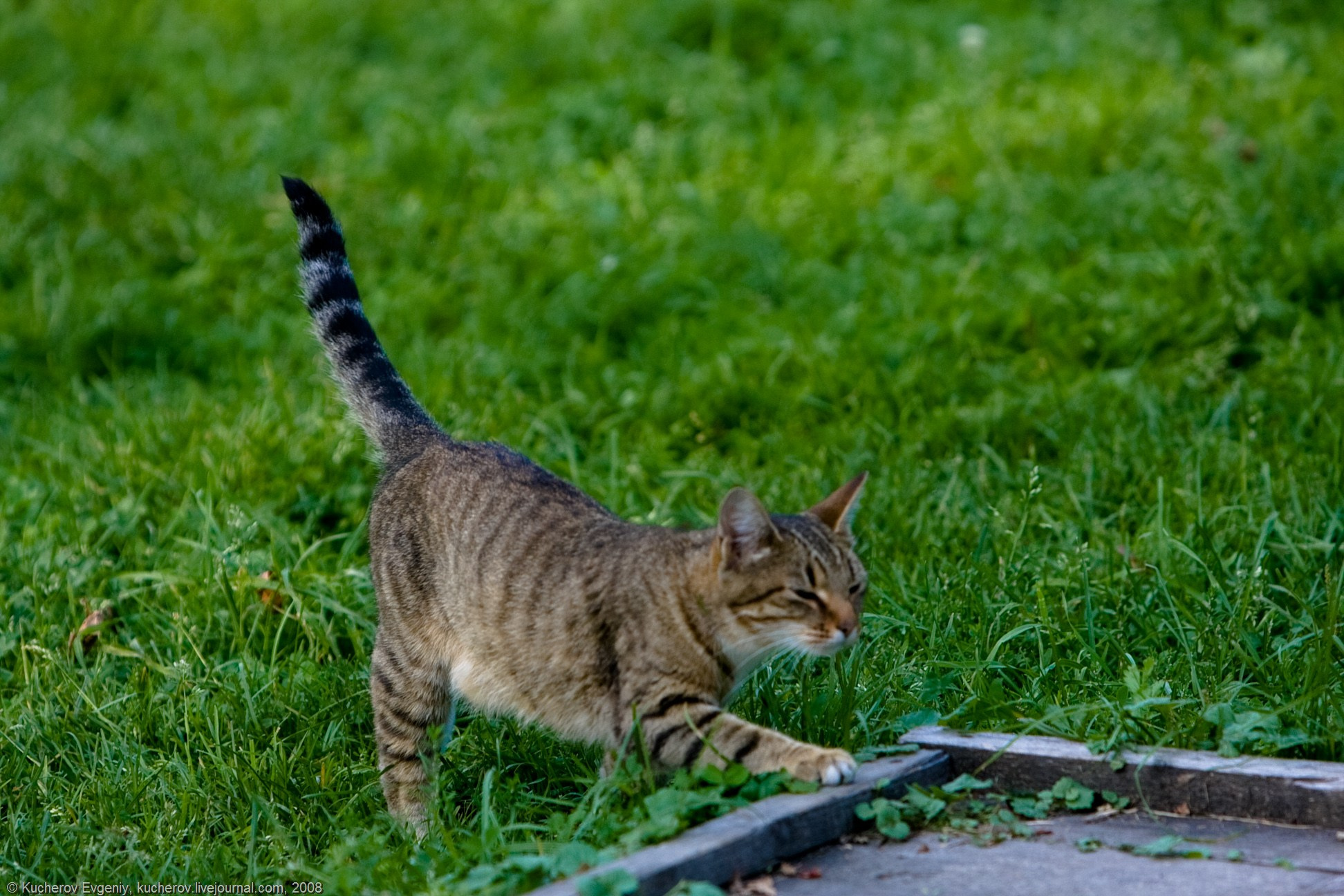 Репортаж. Кучеров Евгений. Фотограф