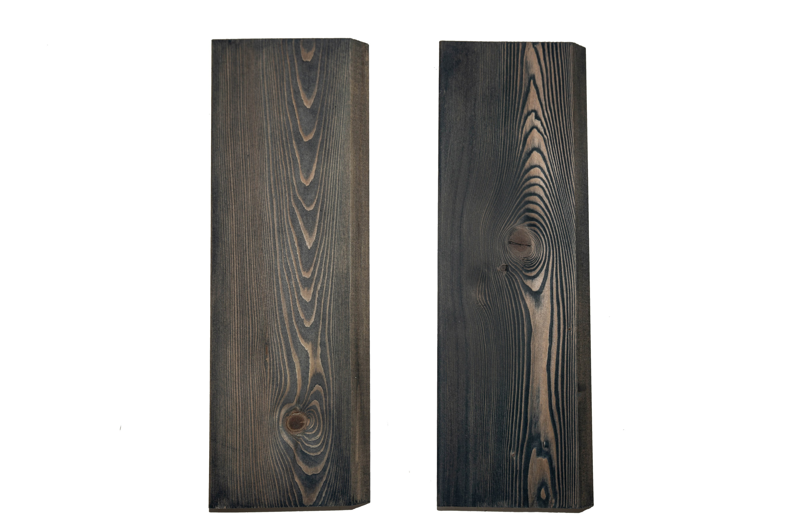 Дерево. Фотограф