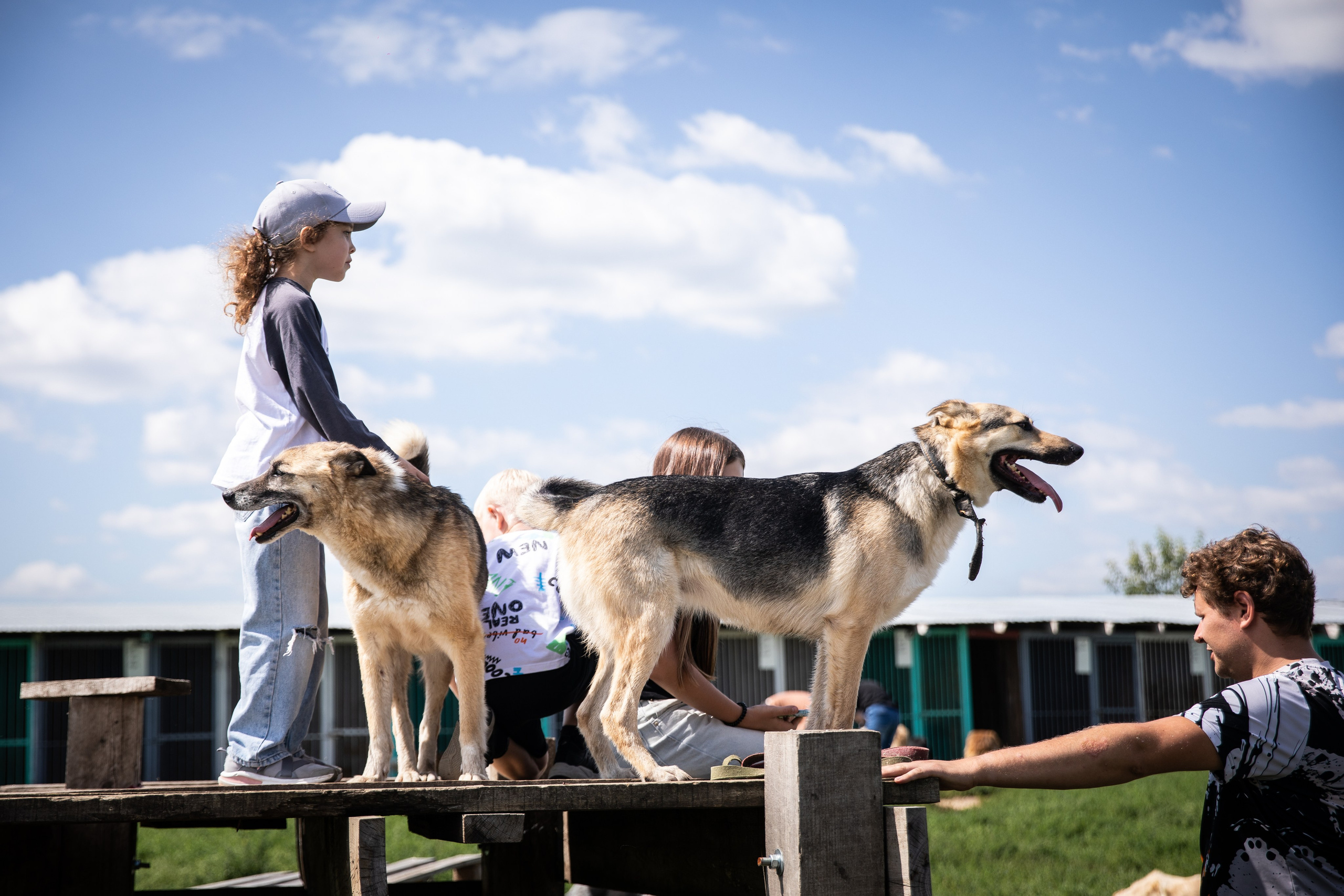 Приют — Наш дом. Репортажный и свадебный фотограф в Челябинске Елисеев Павел