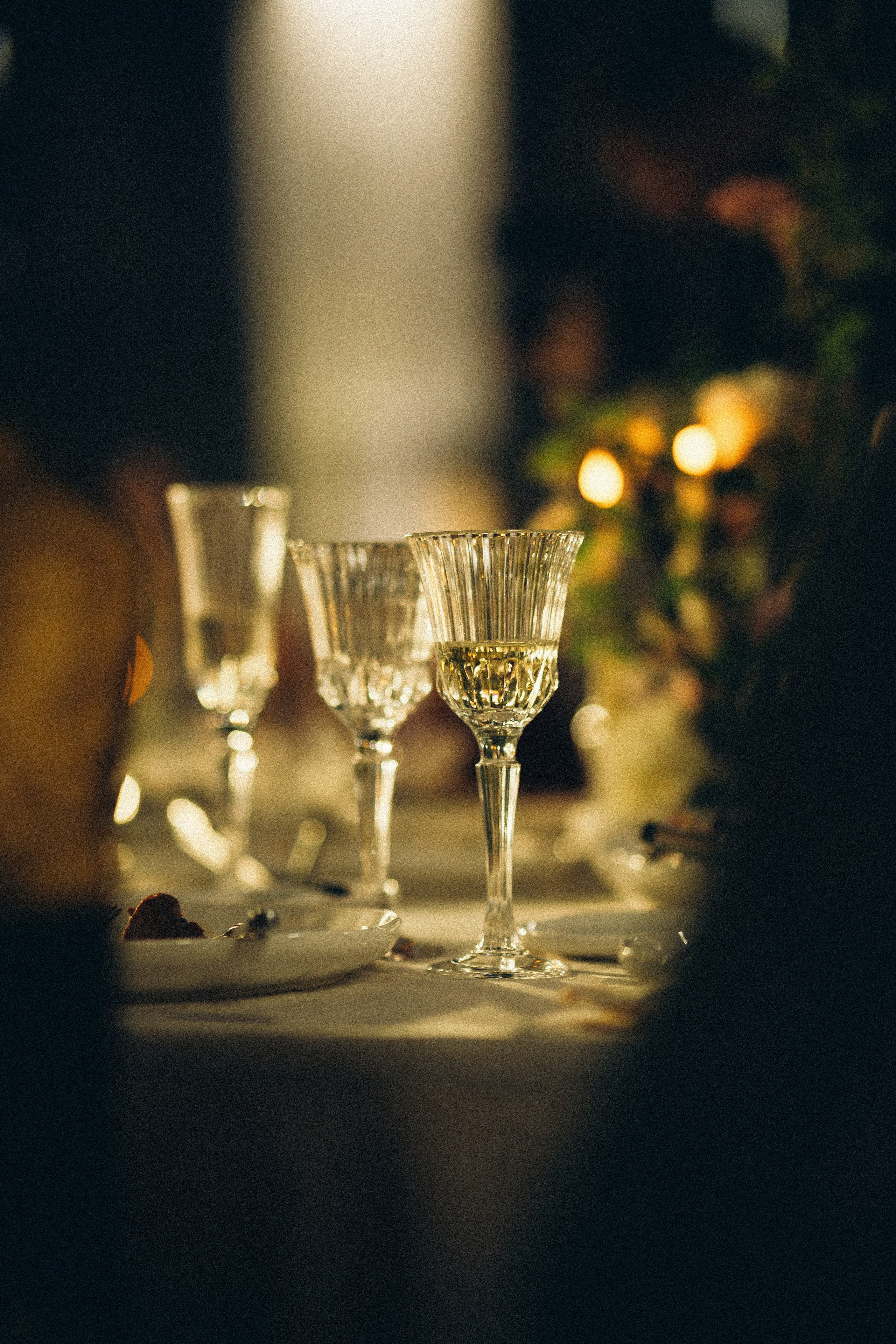 Vinity Forest. Фотограф Анастасия Платонова | Санкт-Петербург