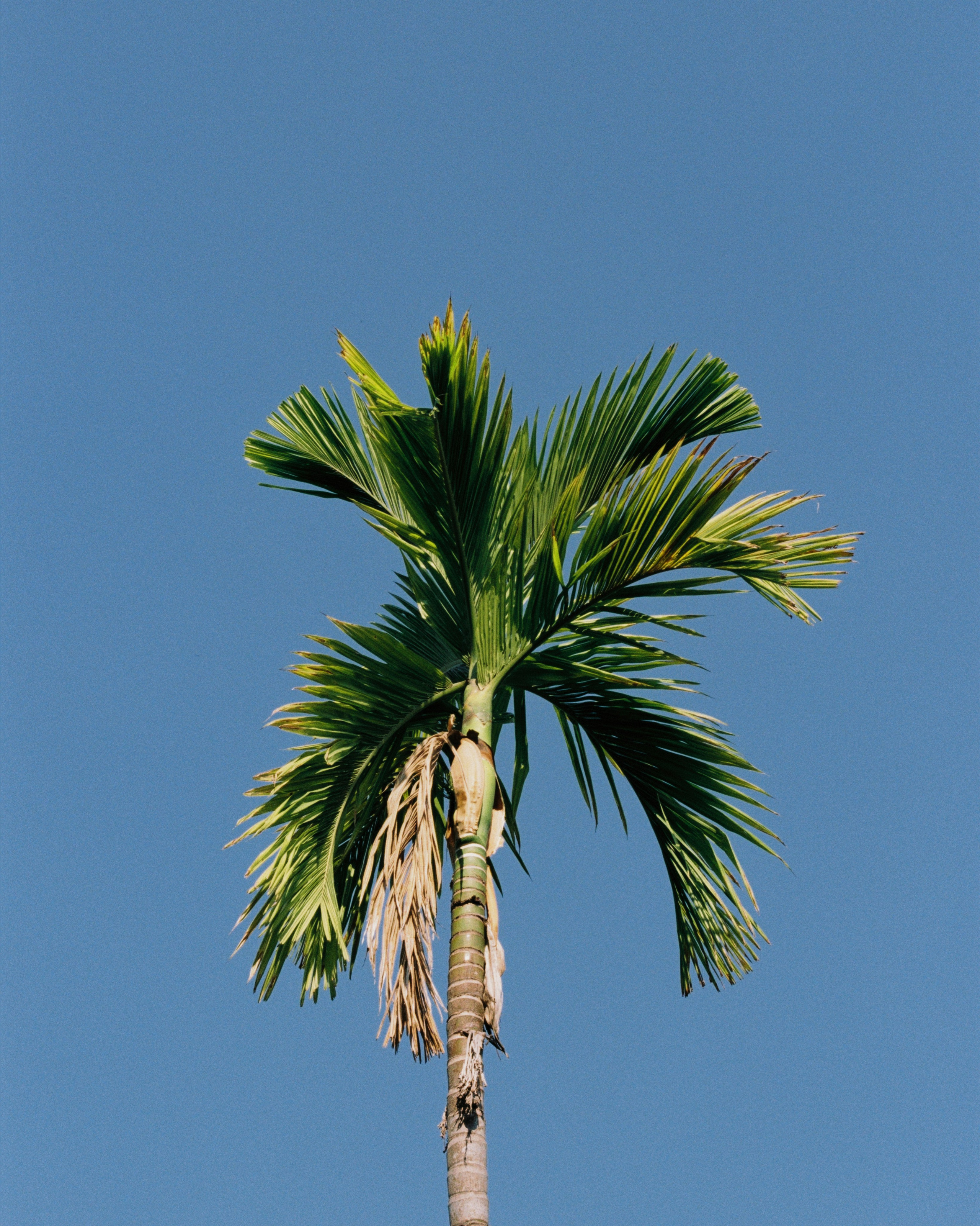 Thailand. Kirill Shashkov