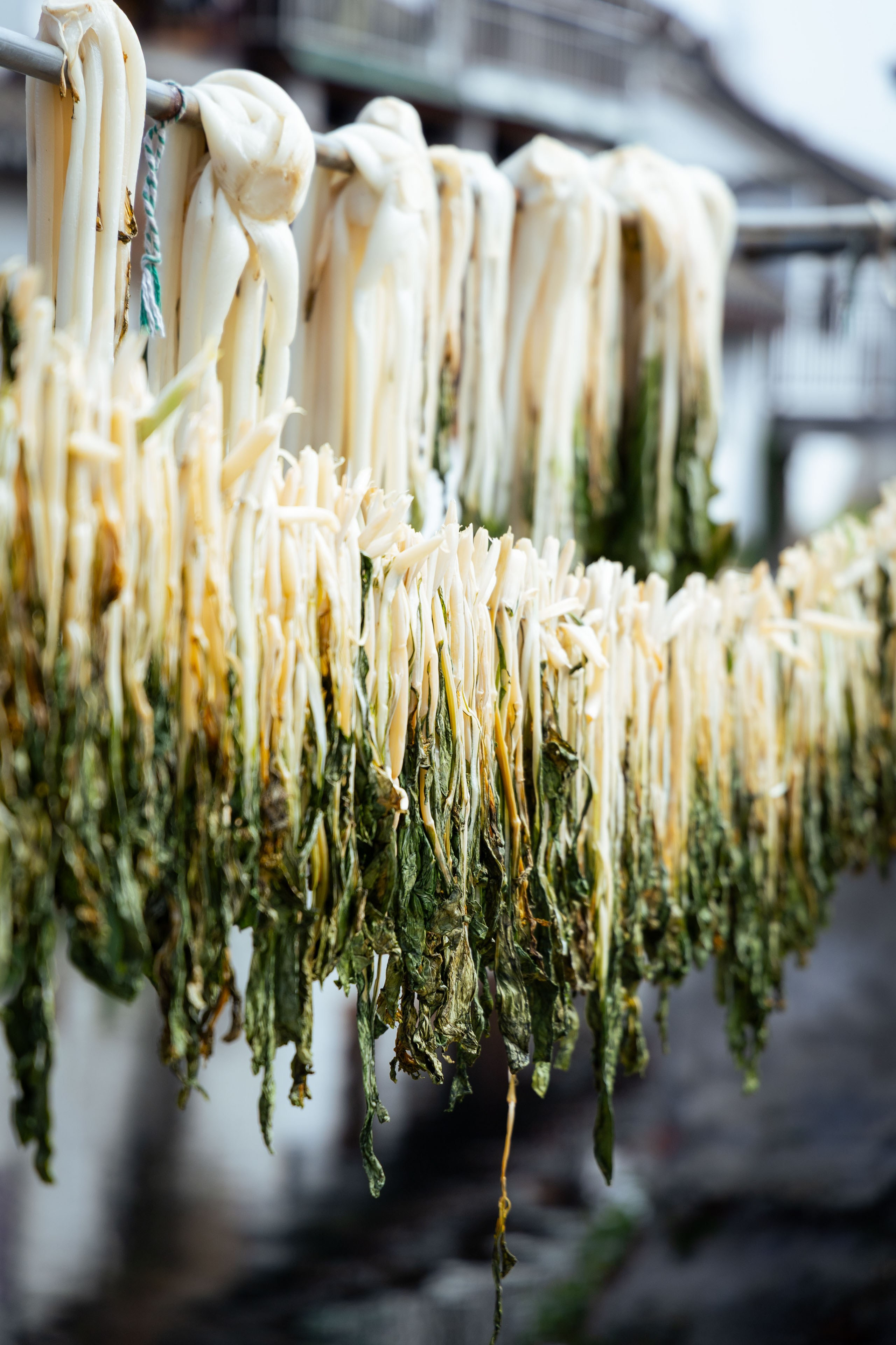 Шанхай (март 2026). Фотограф Виноградов Константин