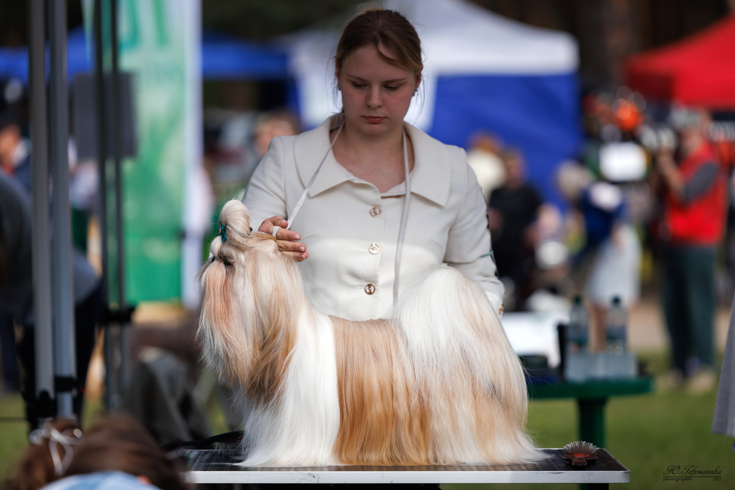 Суздаль(Владимир)17-18.05.2025. Фотограф-анималист Юлия Германика