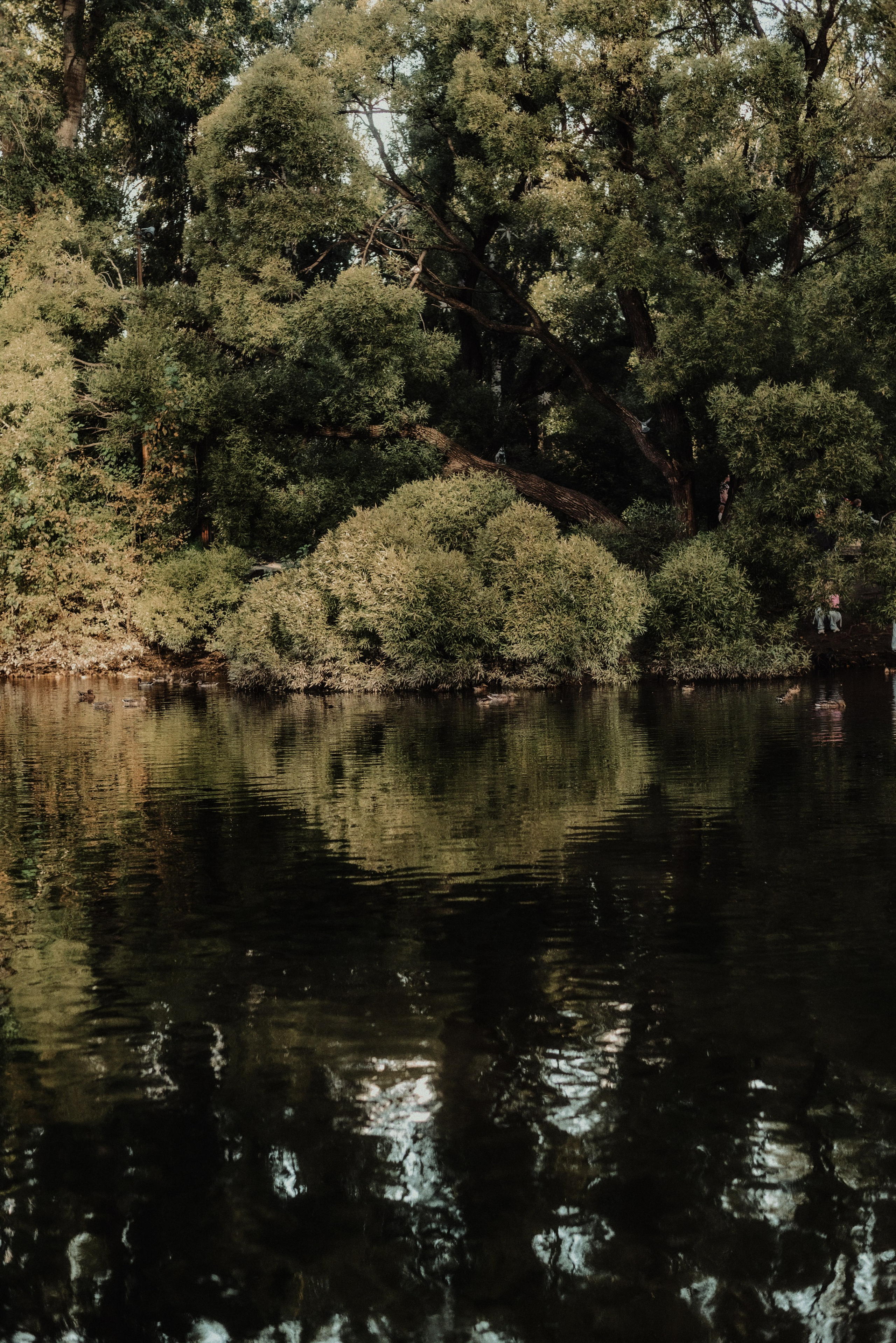 Осень в городе Е. Место {не}банальных фото