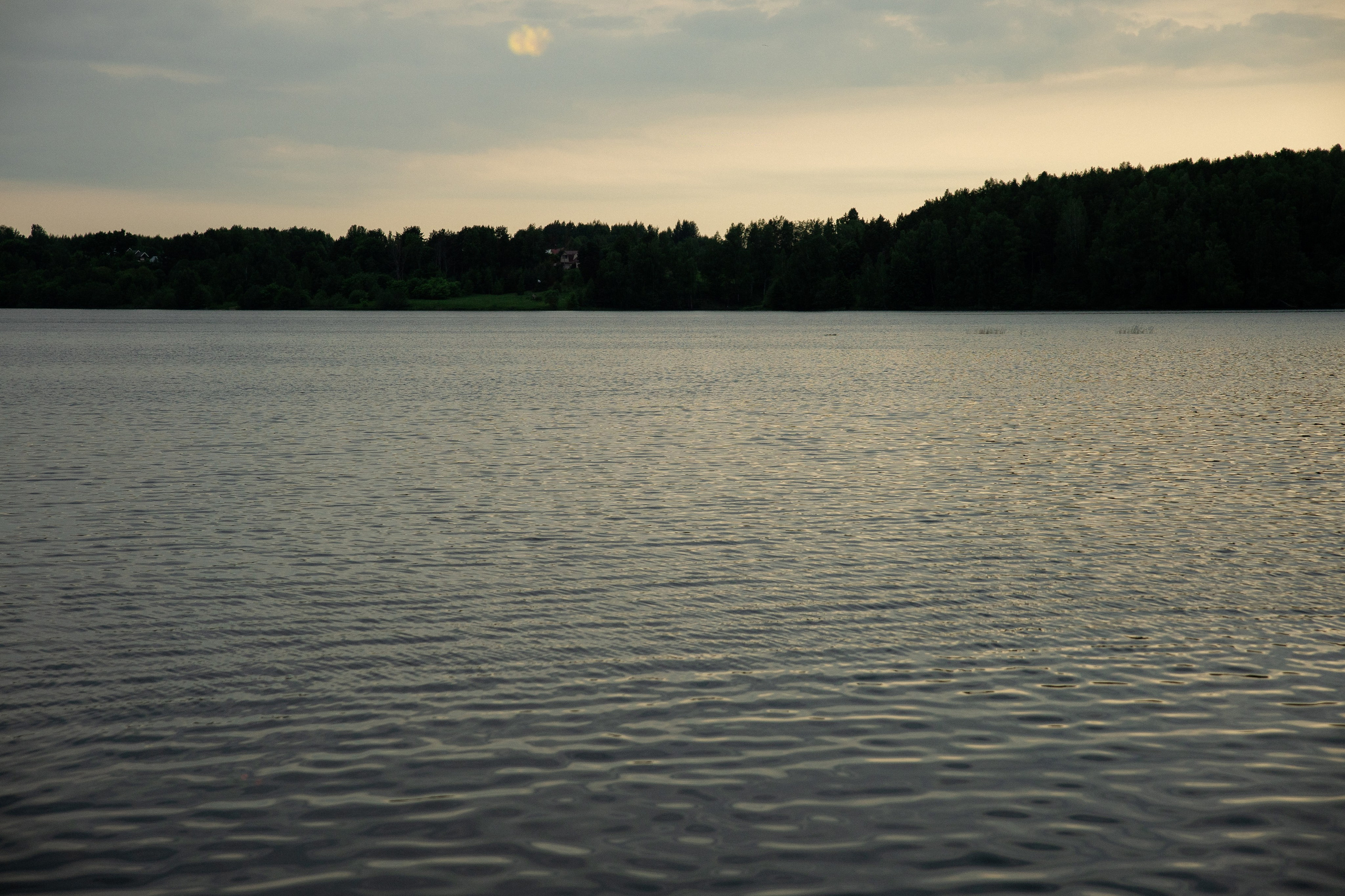 V&N. Свадебный фотограф в Иваново Гитарина Черняева
