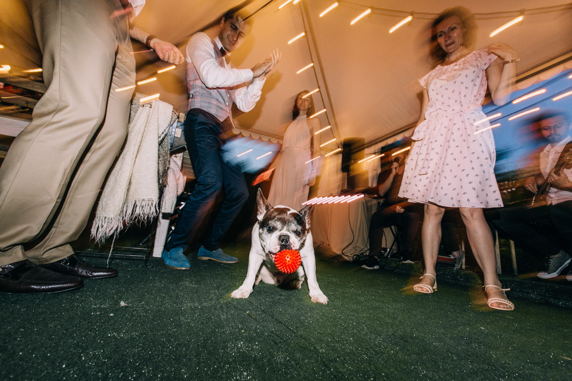 Роман & Евгения. Свадебный фотограф в Москве — Павел Воронцов