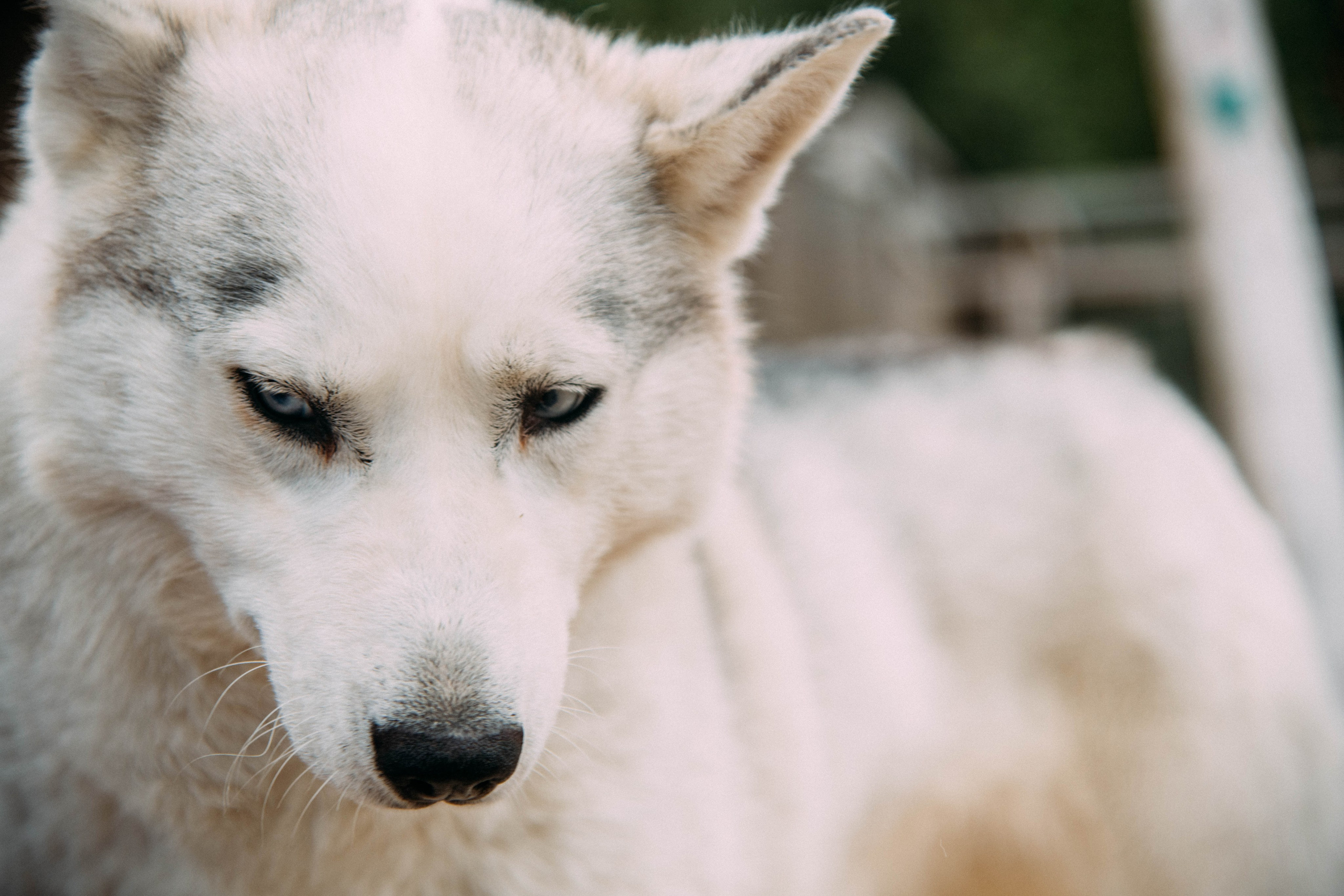 Кольский полуостров. Фотографирую для себя, своей семьи и друзей!