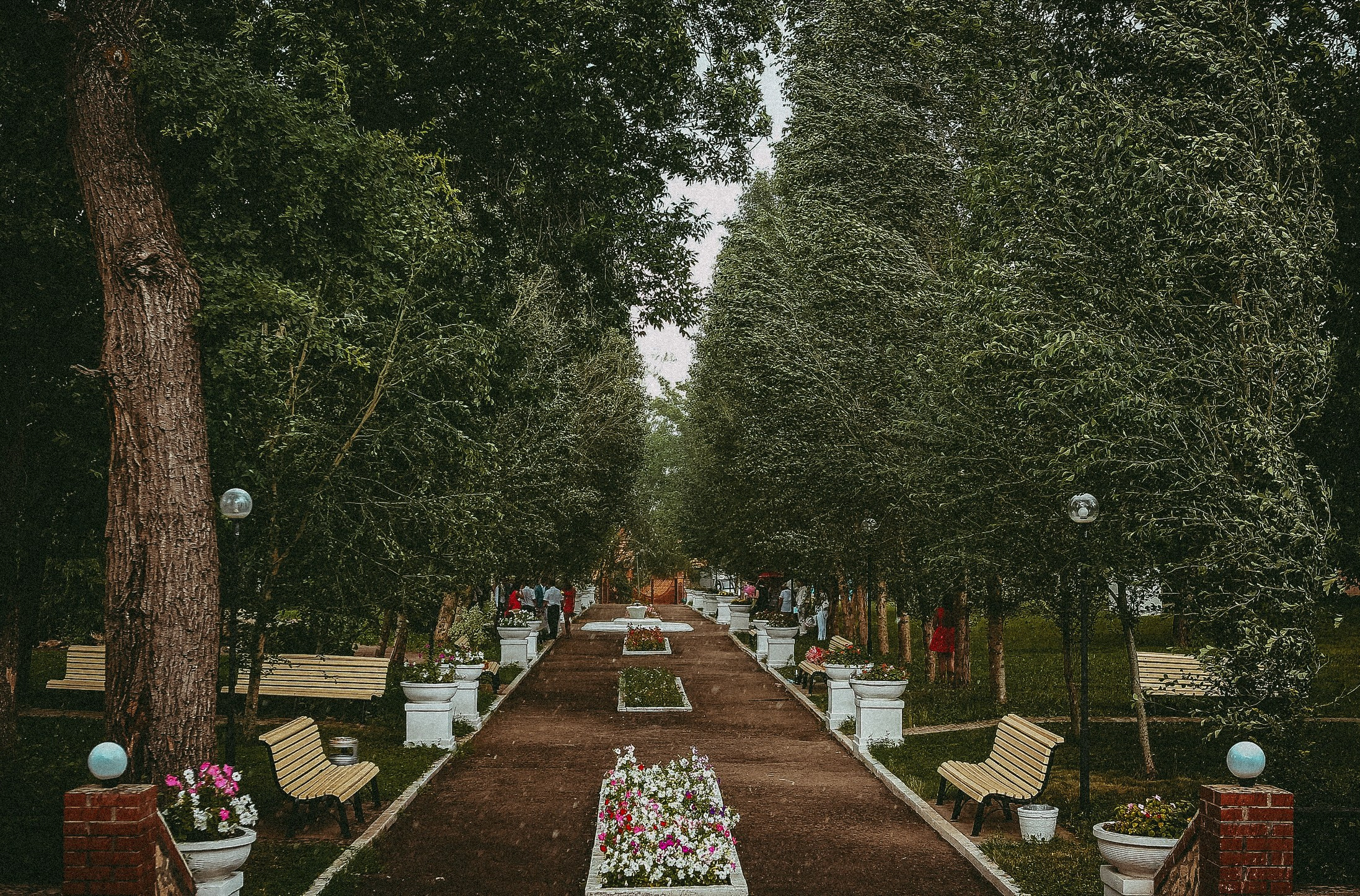 Свадебная летняя фотосессия. Фотограф в городе Самара Александр Гераськин