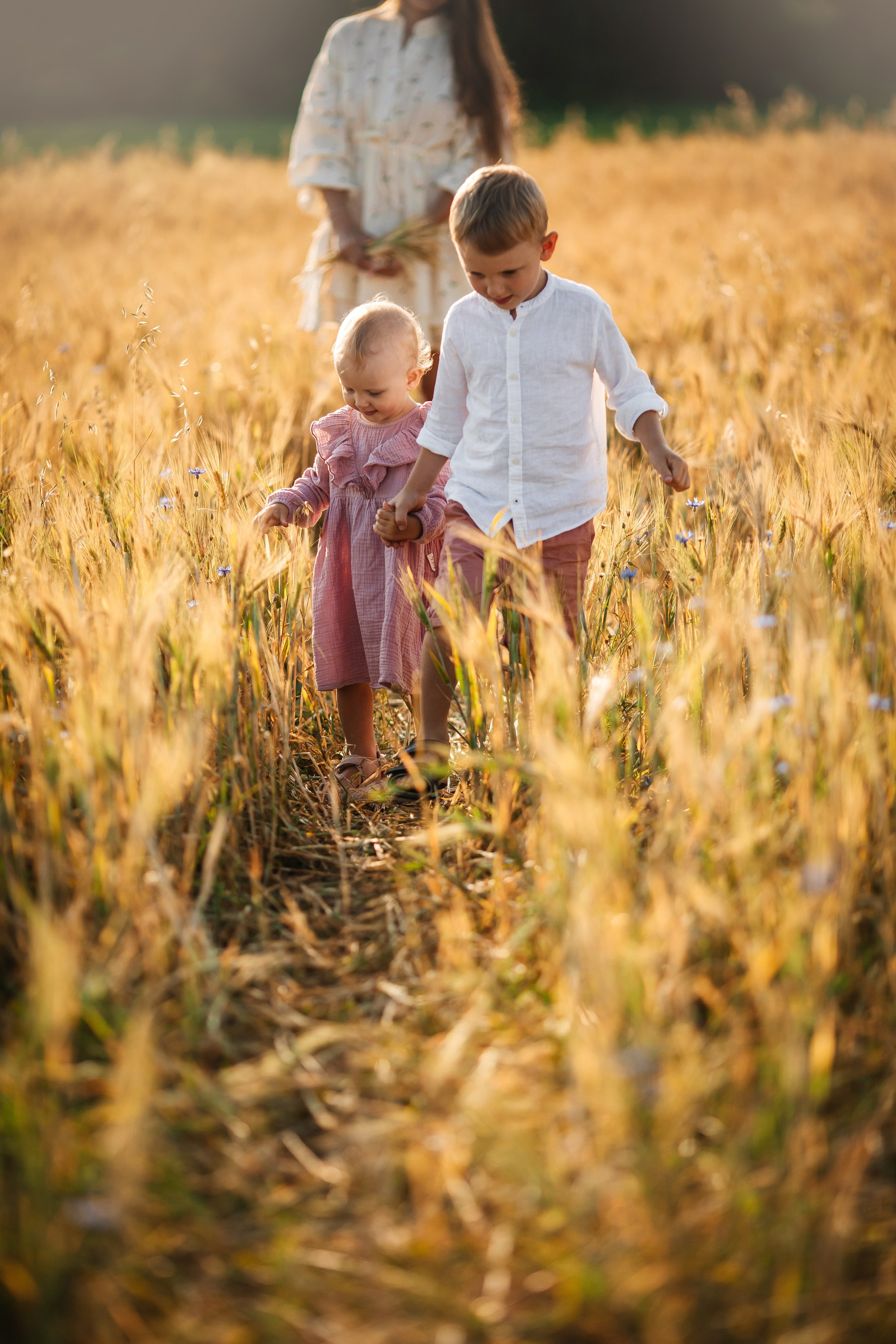 Семья в пшенице. Olga.filippova.photo