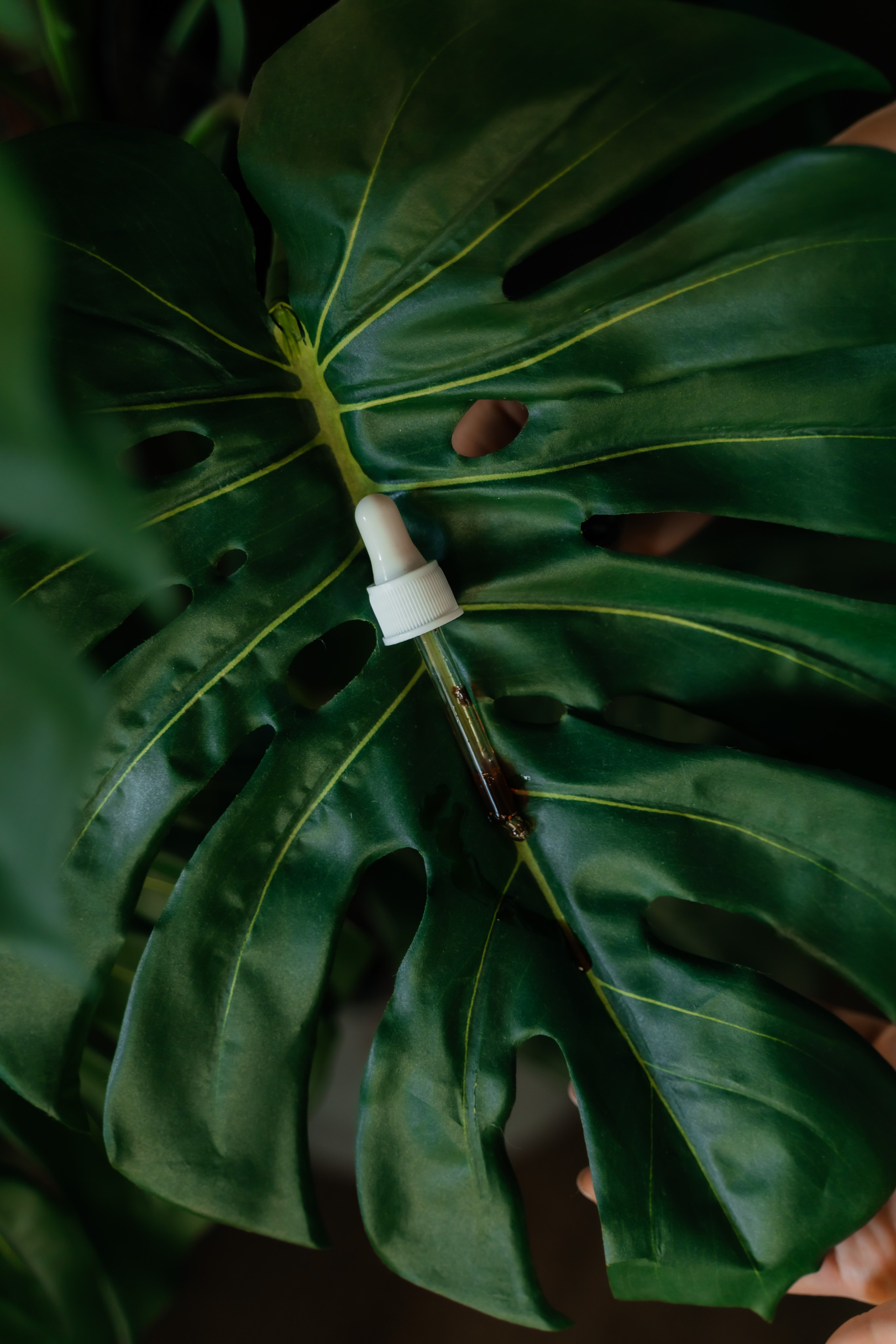 JuliMel Makeup. Семейный фотограф в Саратове