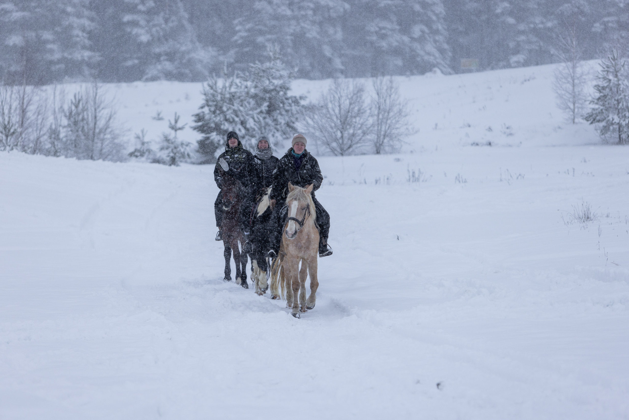 Зимние покатушки. Автомобильная фотография в Санкт-Петербурге