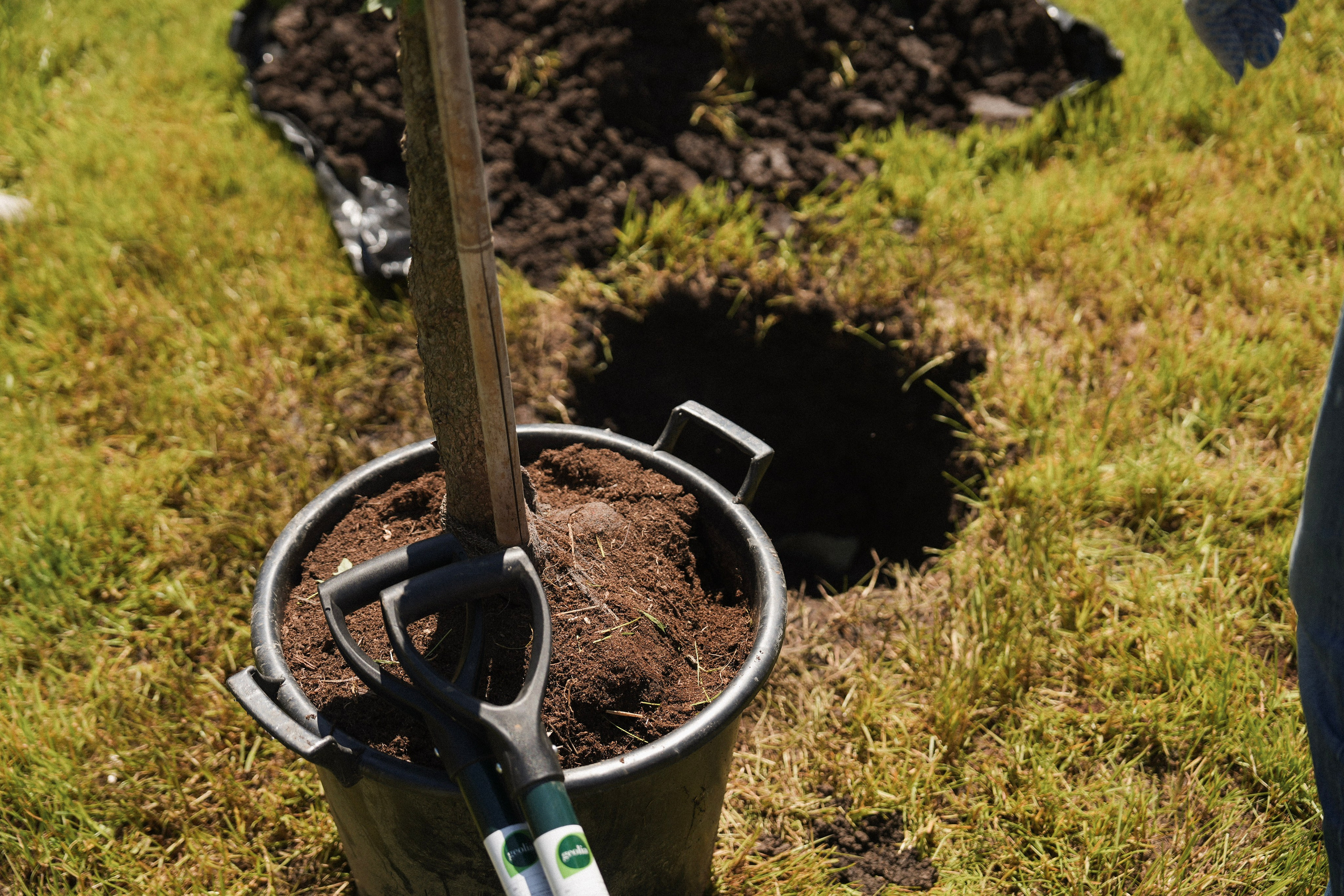 Инсити / Фест в Образцово. Фотограф с психологическим образованием