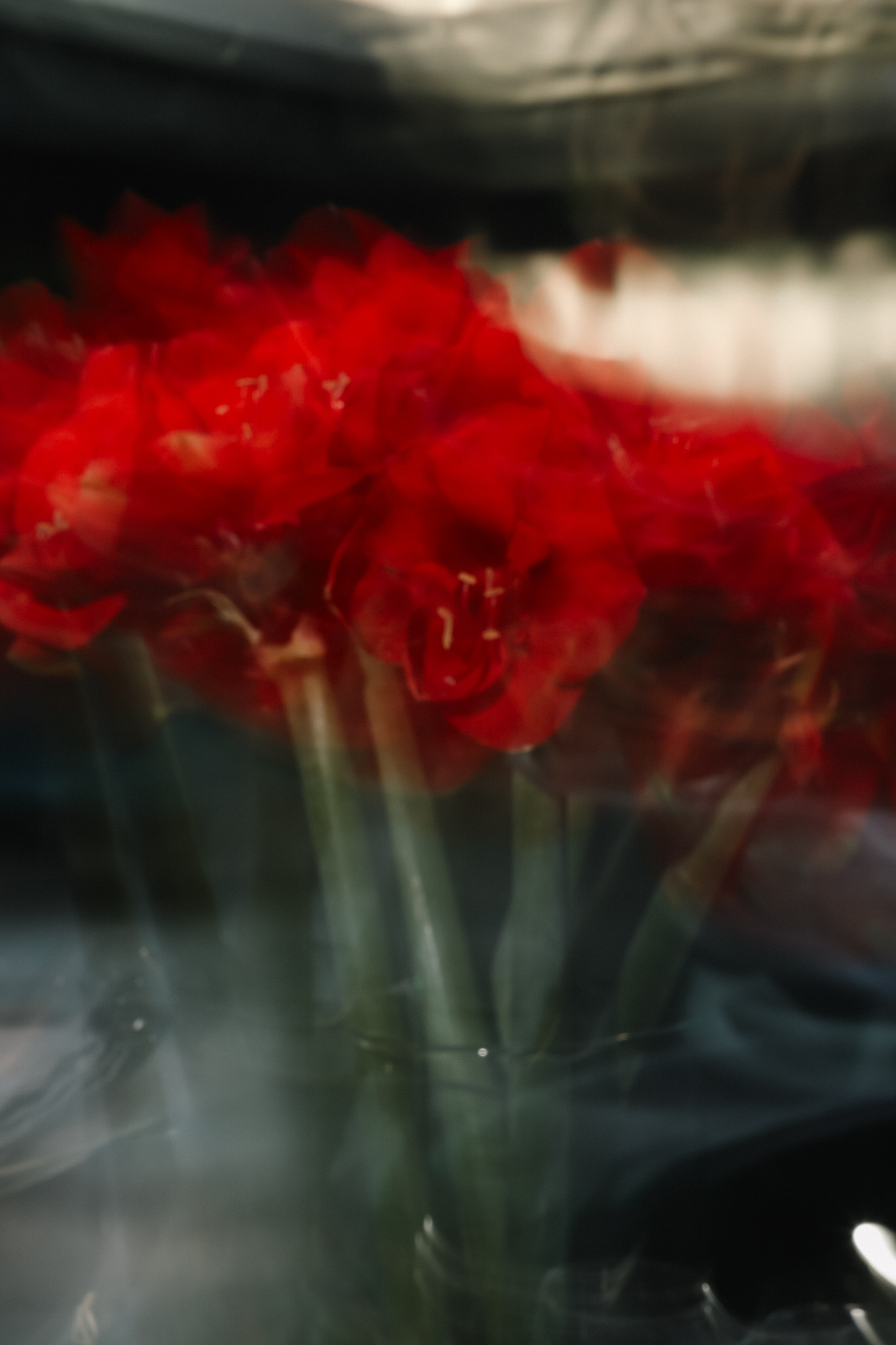 DENIS & ELIZAVETA Барвиха. Kharchenkotatianaweddingphoto