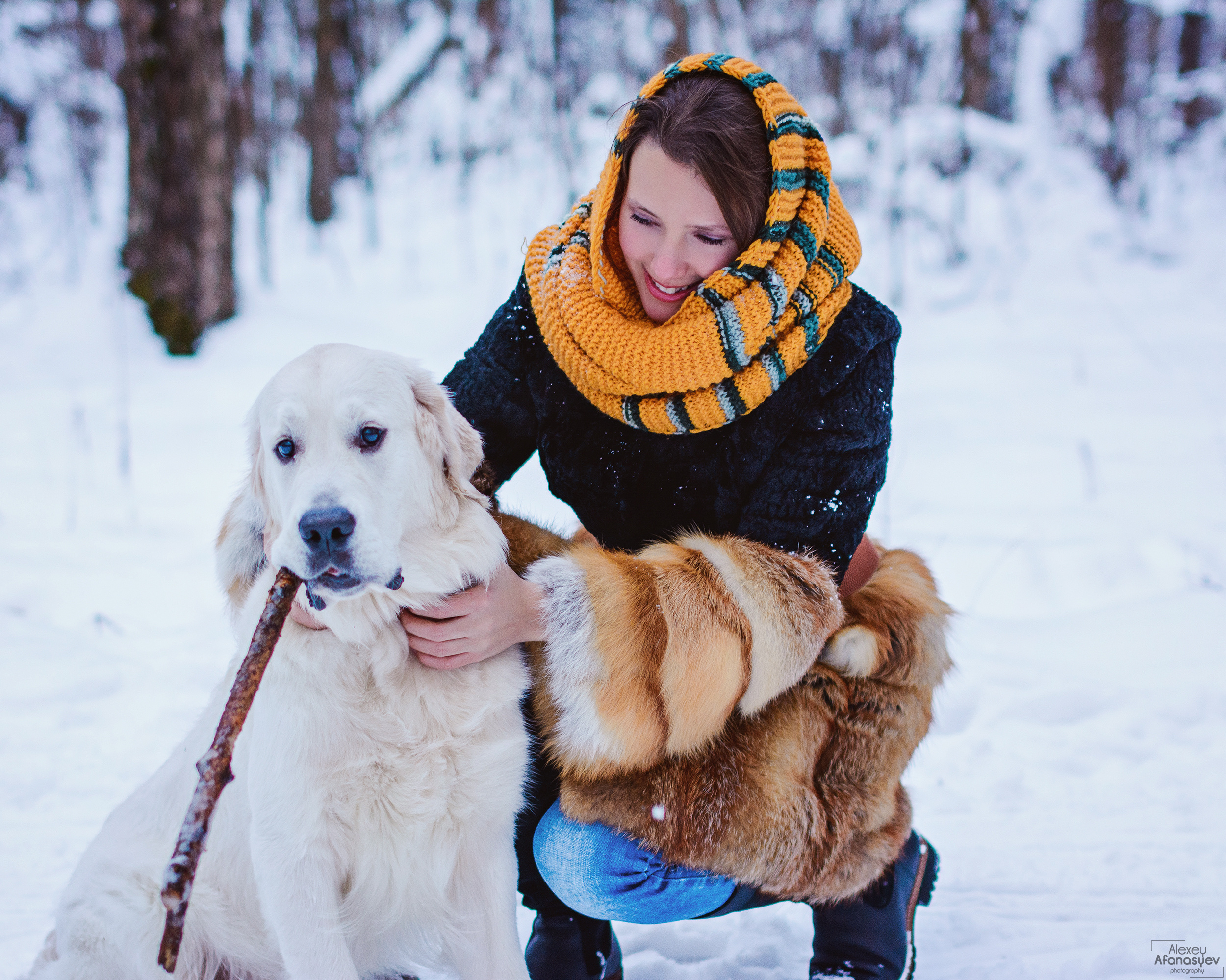 Зимняя фото прогулка в лесу, модель Анастасия. Портретная фотосъемка в Москве. Фотограф Алексей Афанасьев