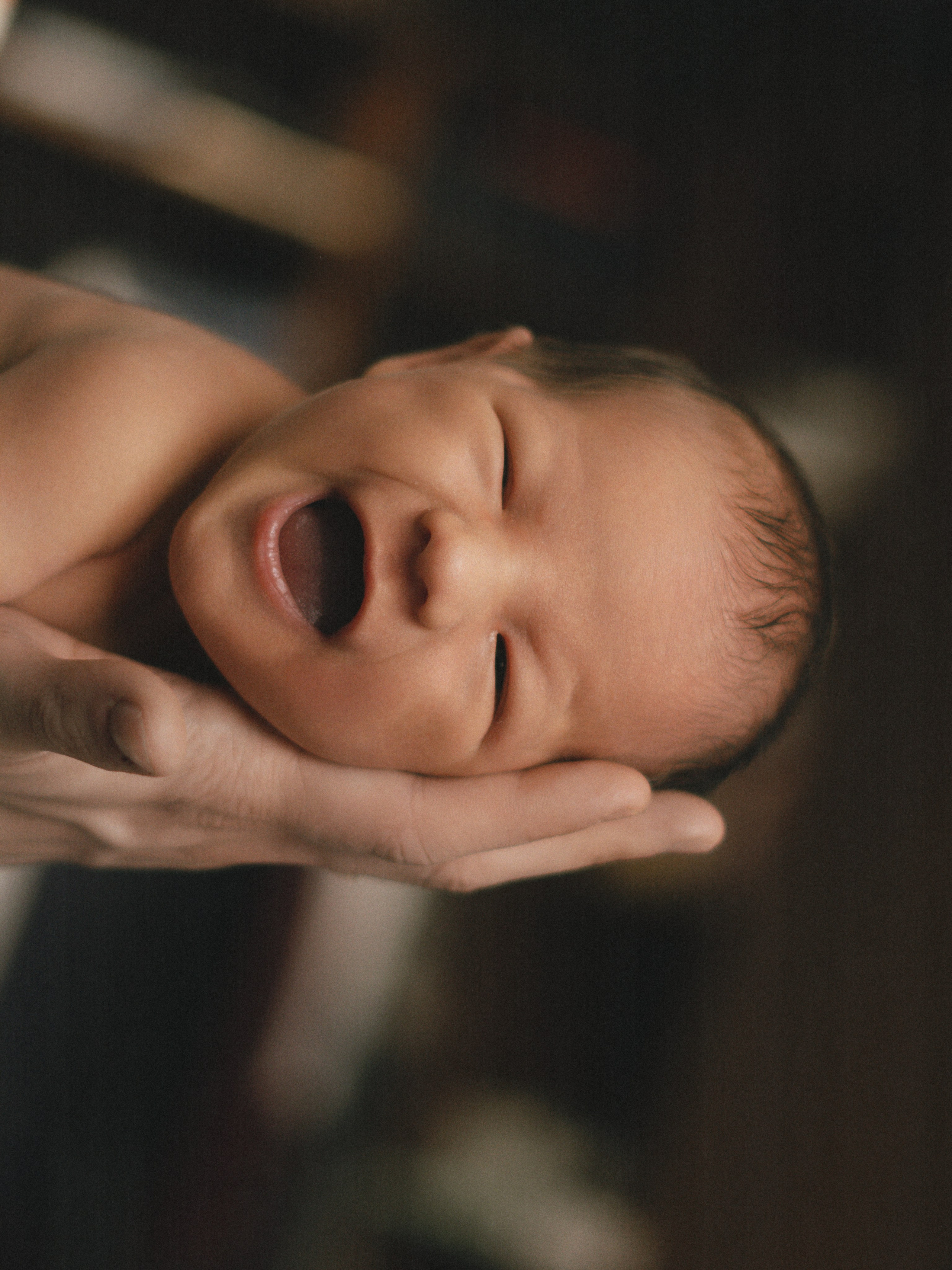 Мироша. SHILOVA PHOTO. Шилова Екатерина. Фотограф. Москва