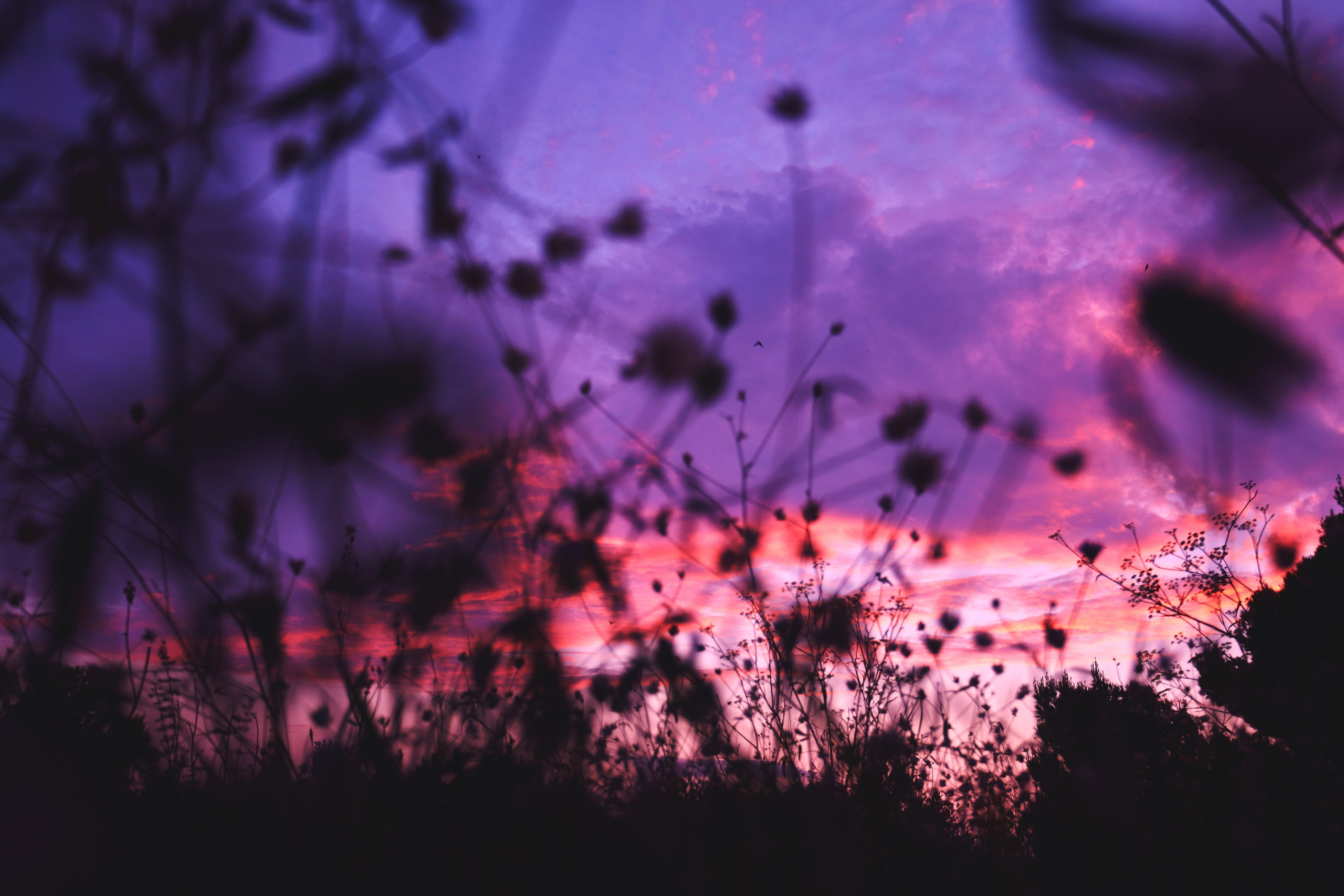 Хорватия. Рекламный коммерческий фотограф в Москве Владимир Лукьянов