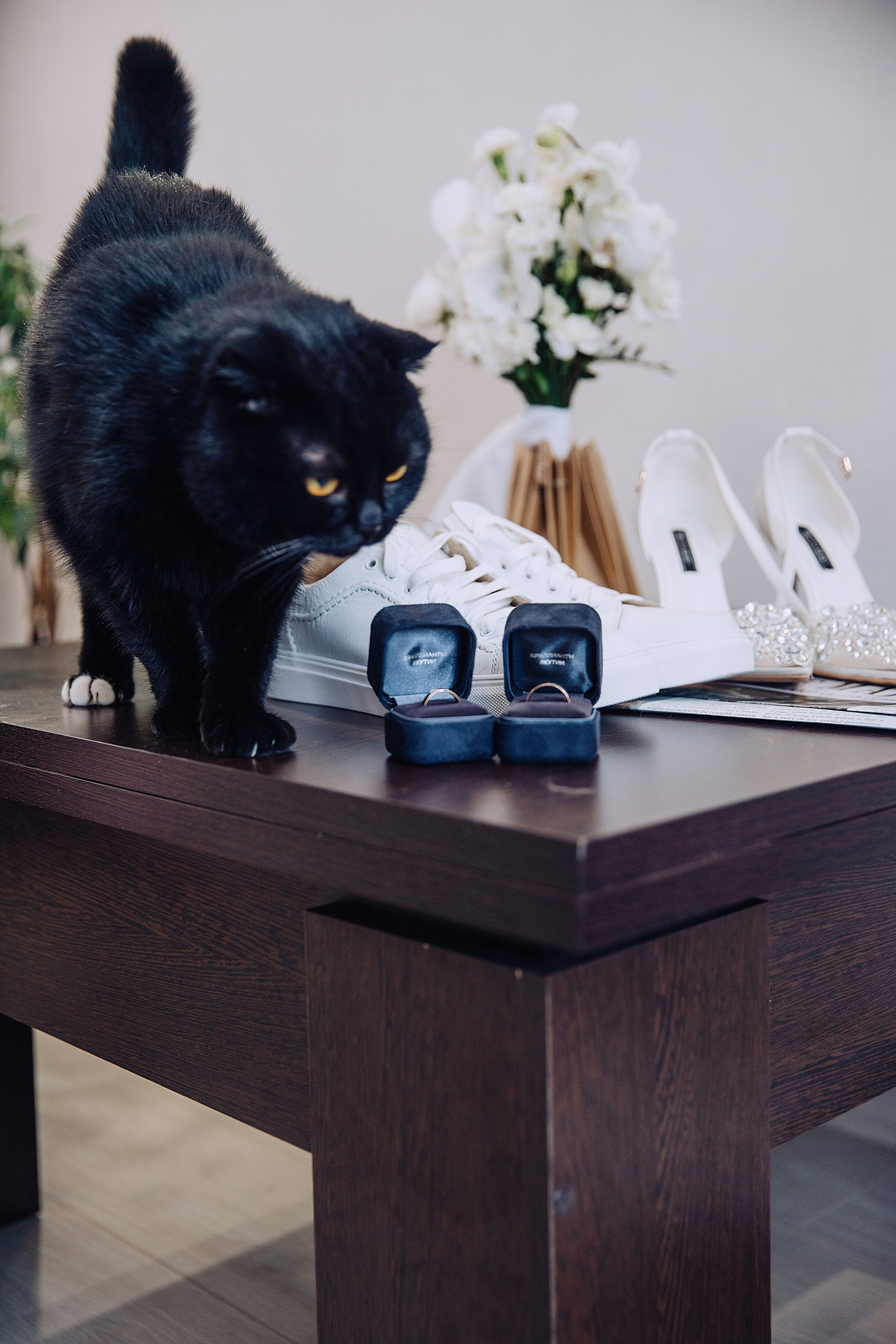 Илья и Света. Свадебный и семейный фотограф в Йошкар-Оле