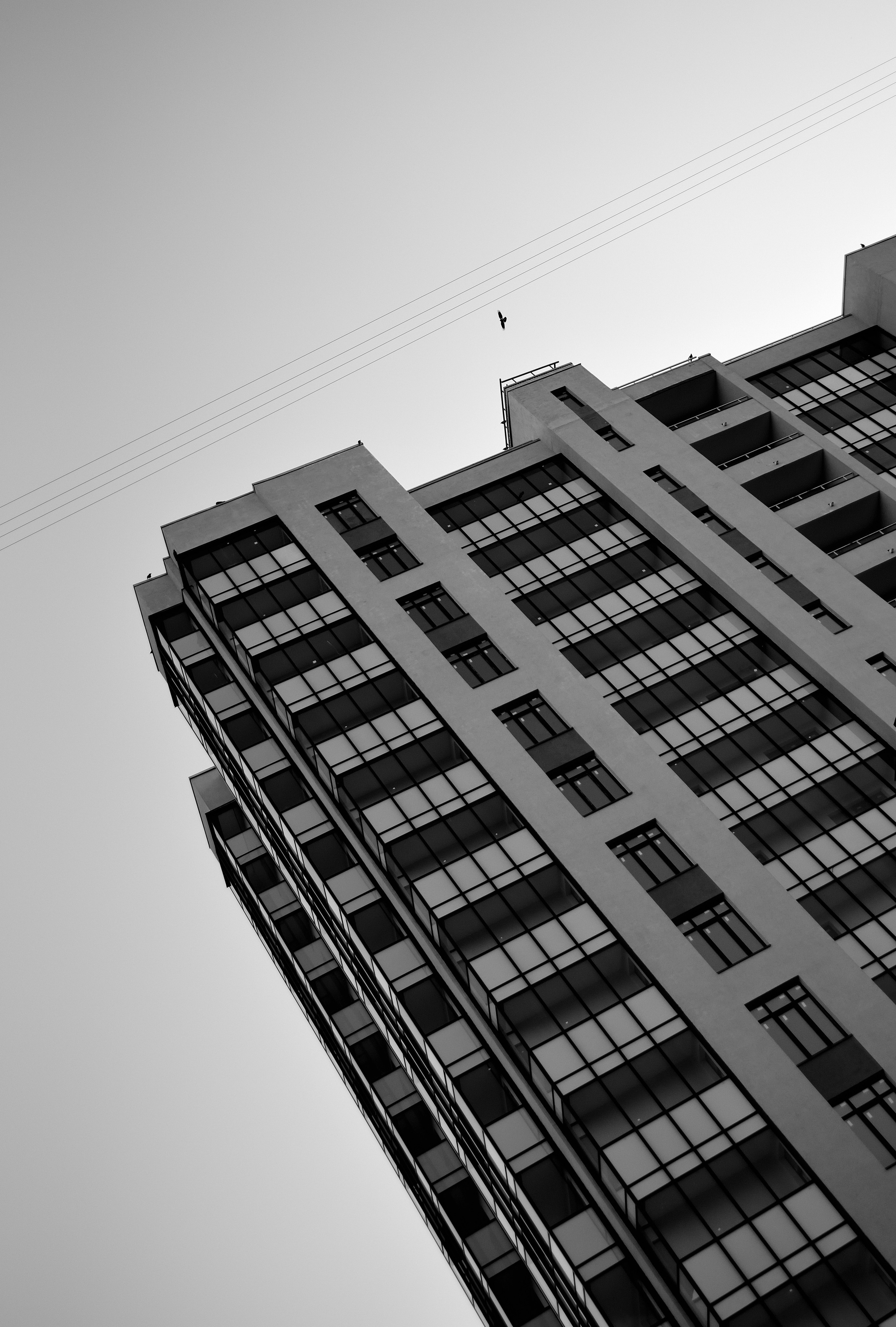 Фоточеллендж по уличной фотографии