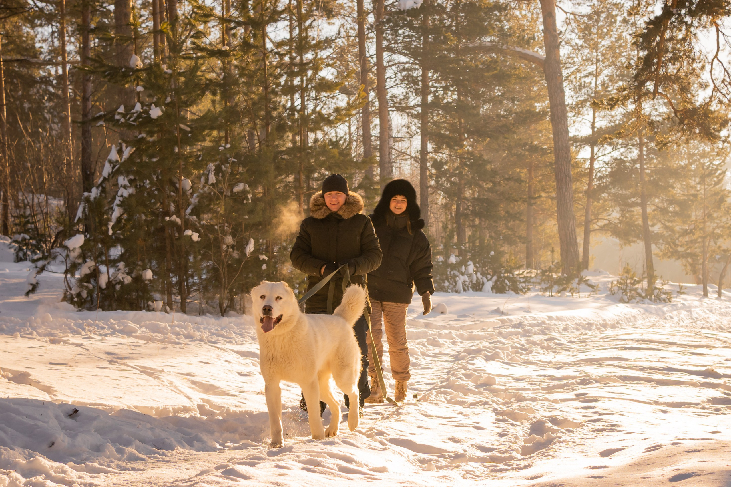 Г. Миасс 2023-2024. Фотограф-анималист Анастасия Большакова